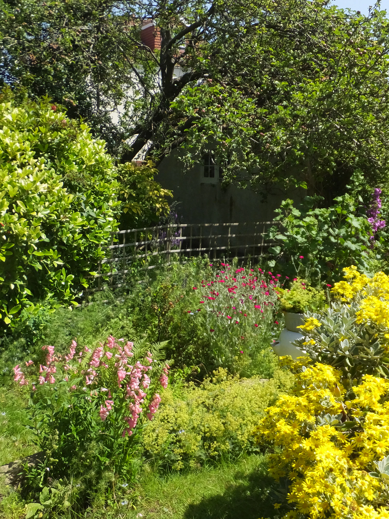 Het belang van een bloemrijke achtertuin