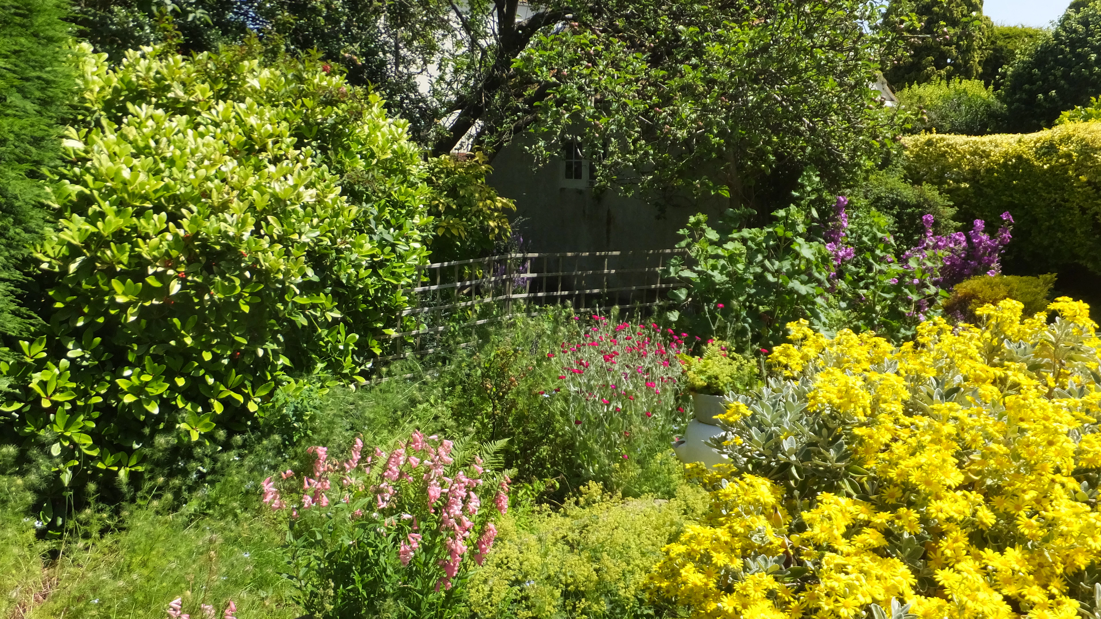 Het belang van een bloemrijke achtertuin