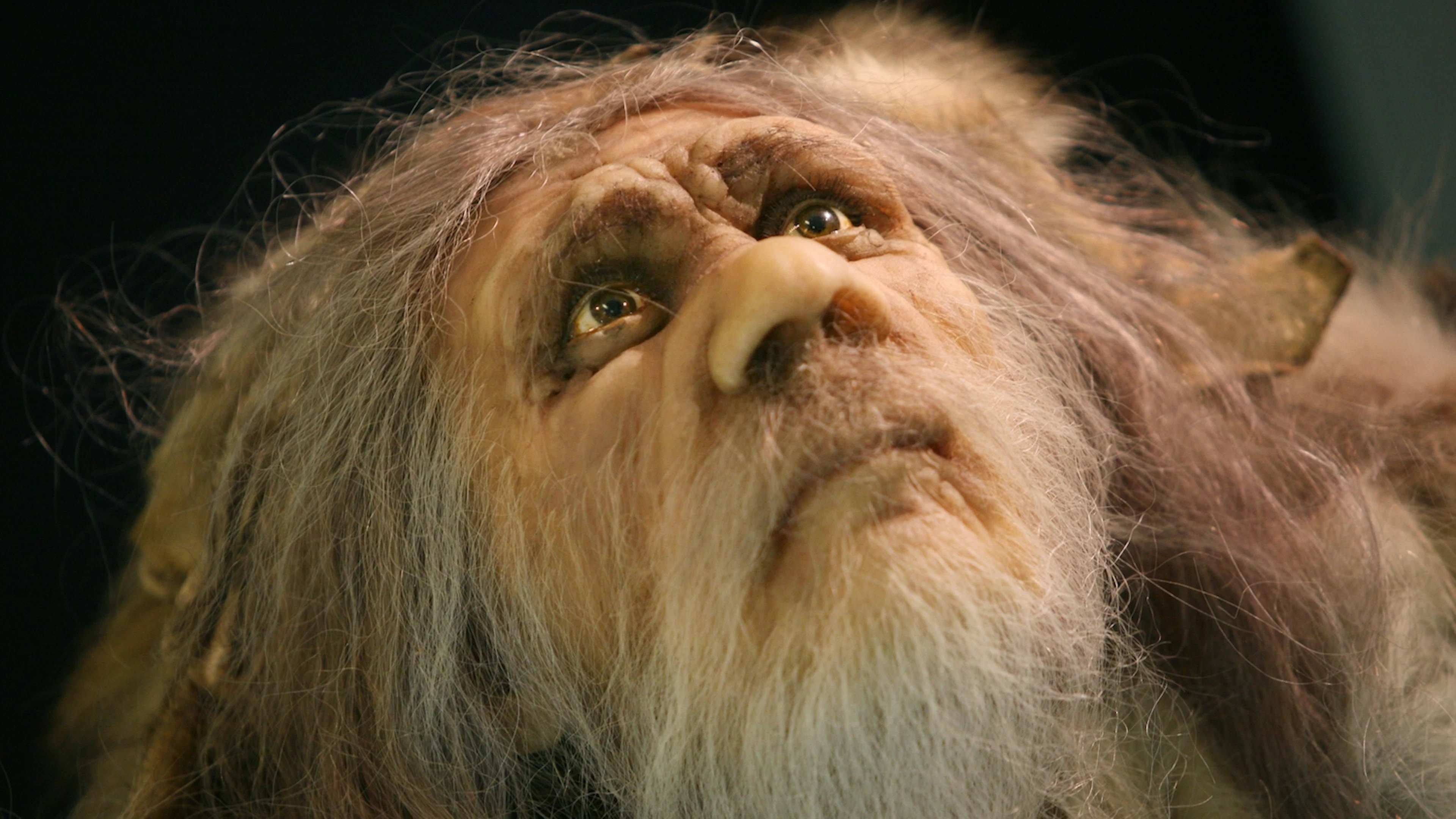Darmflora van neanderthalers leek op de onze