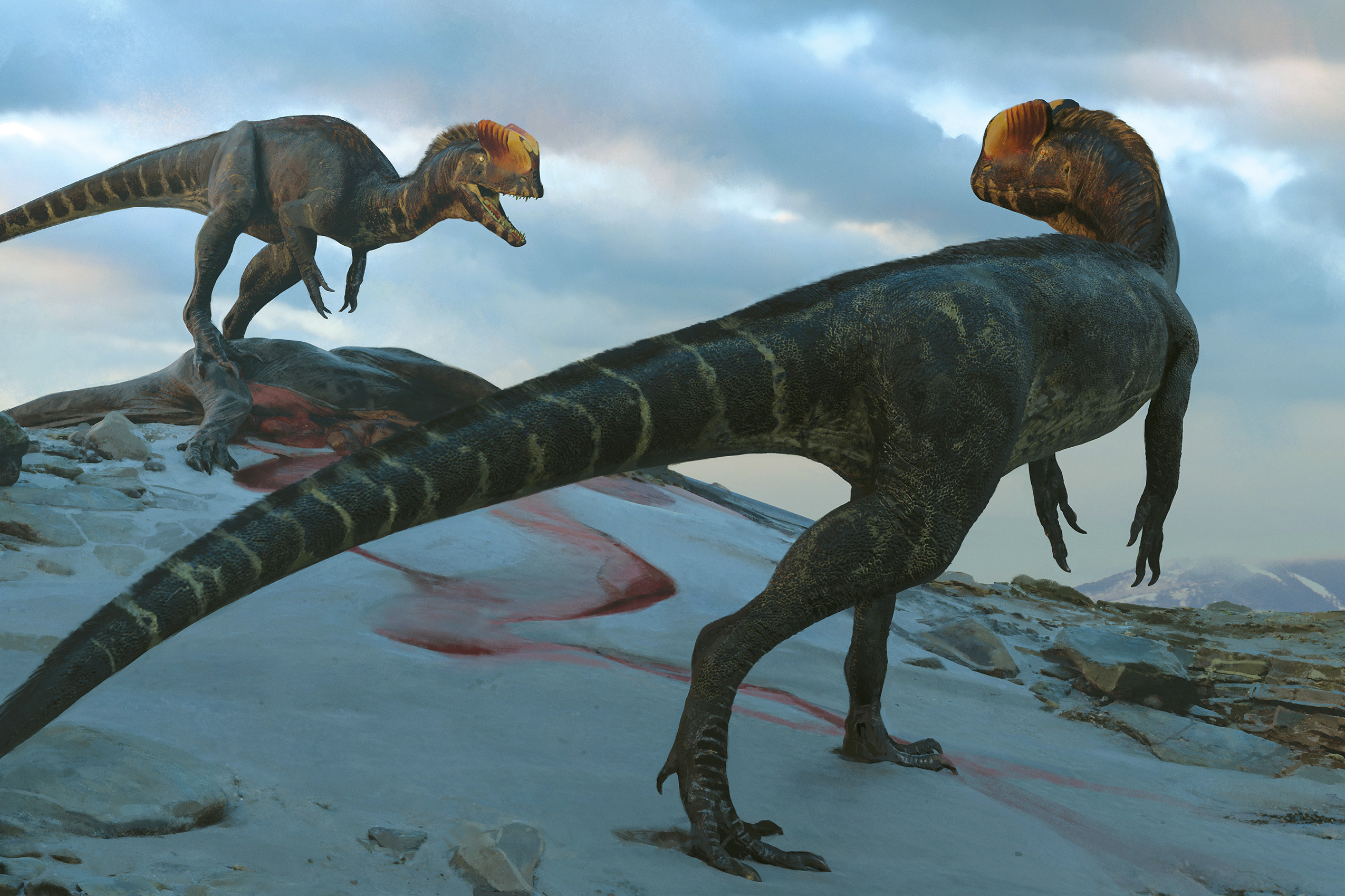 De echte dilophosaurus