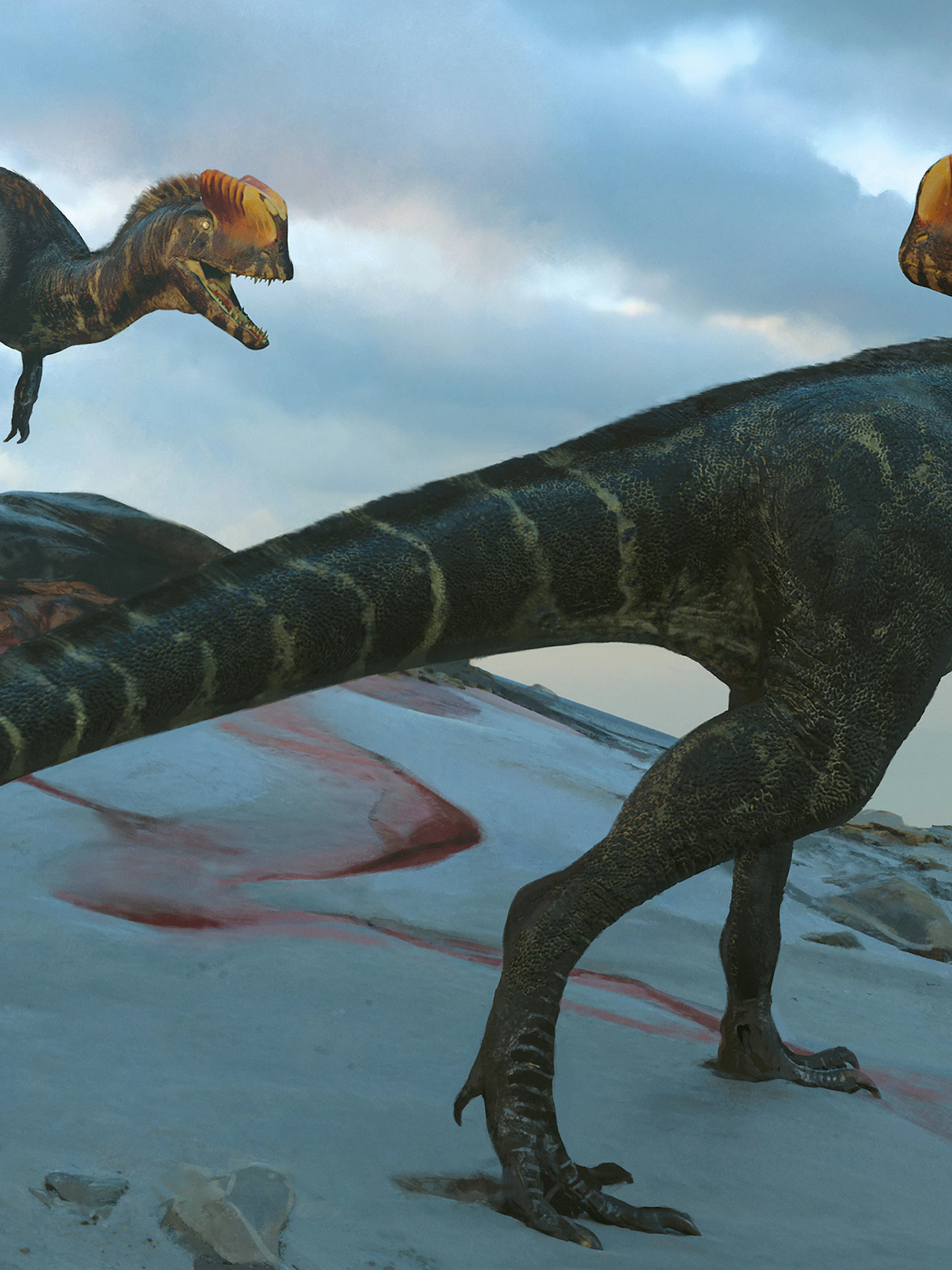 De echte dilophosaurus