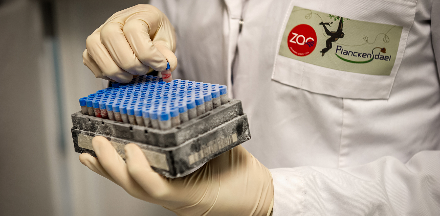 Biobank ZOO Antwerpen als back-up