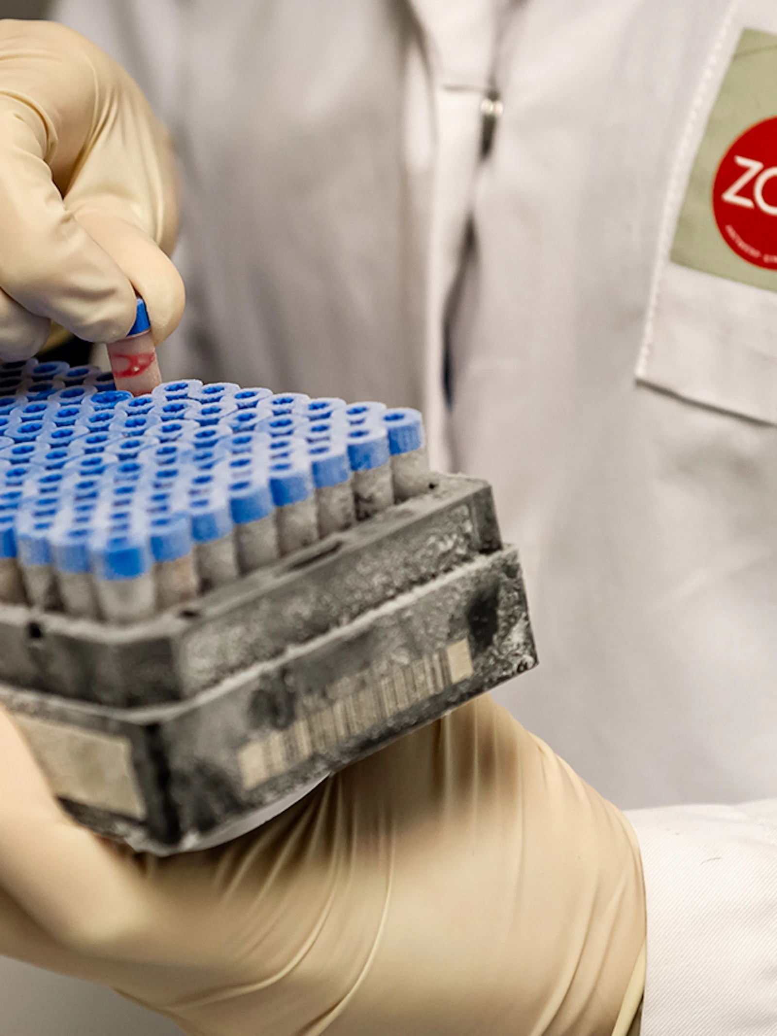 Biobank ZOO Antwerpen als back-up