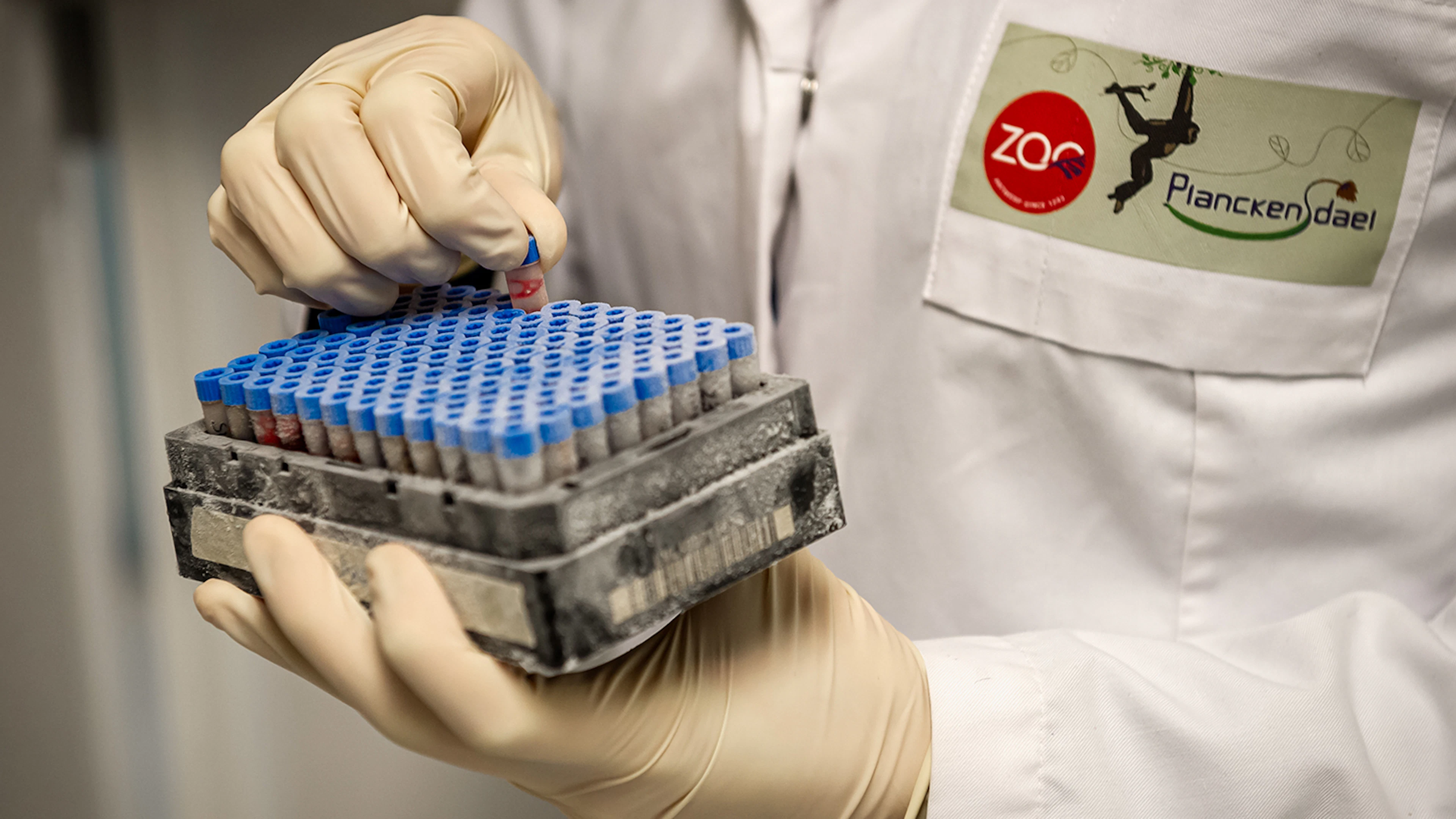 Biobank ZOO Antwerpen als back-up