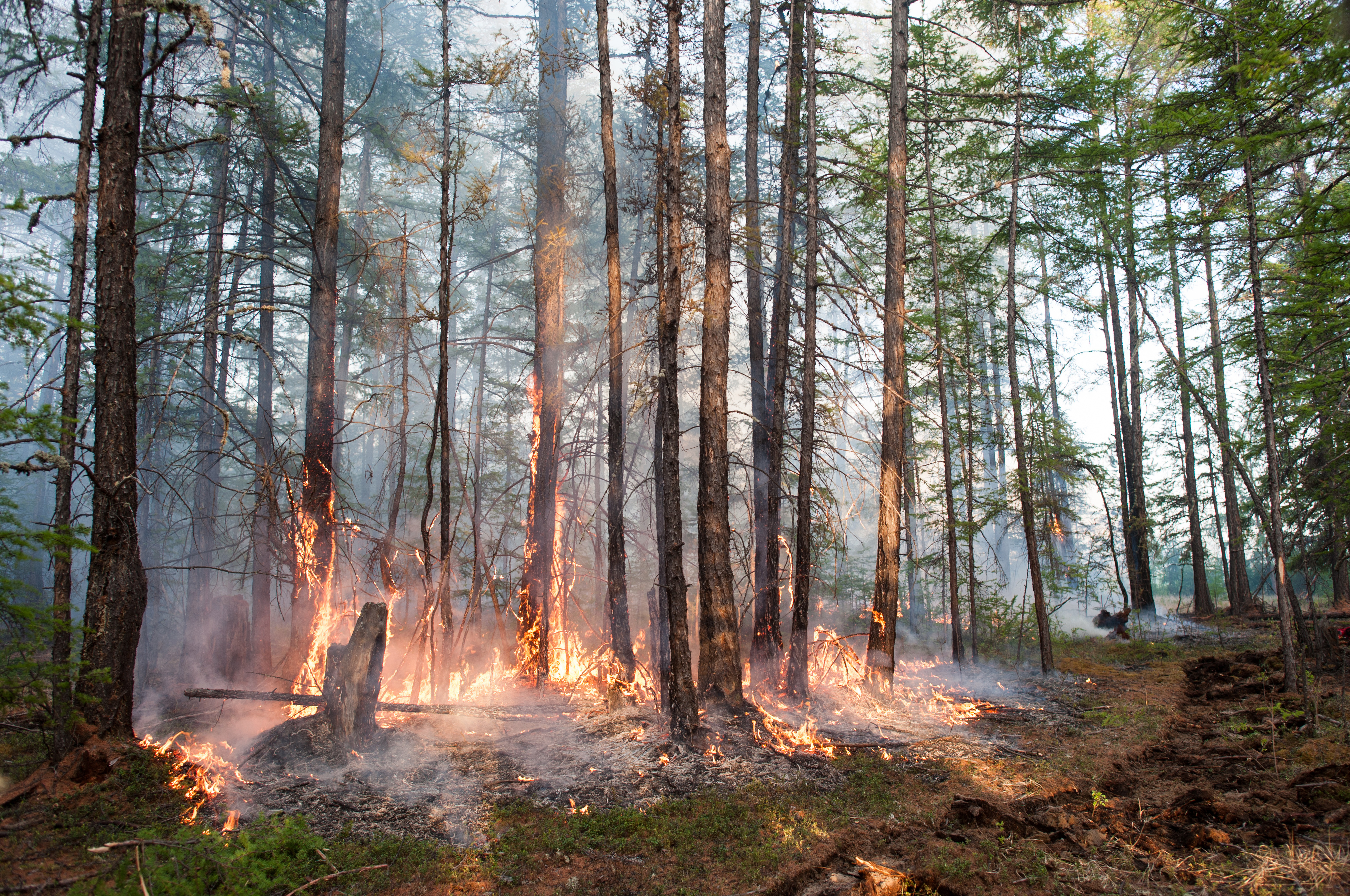 ‘Zombiebranden’ opsporen vanuit de ruimte spaart het klimaat en de portemonnee