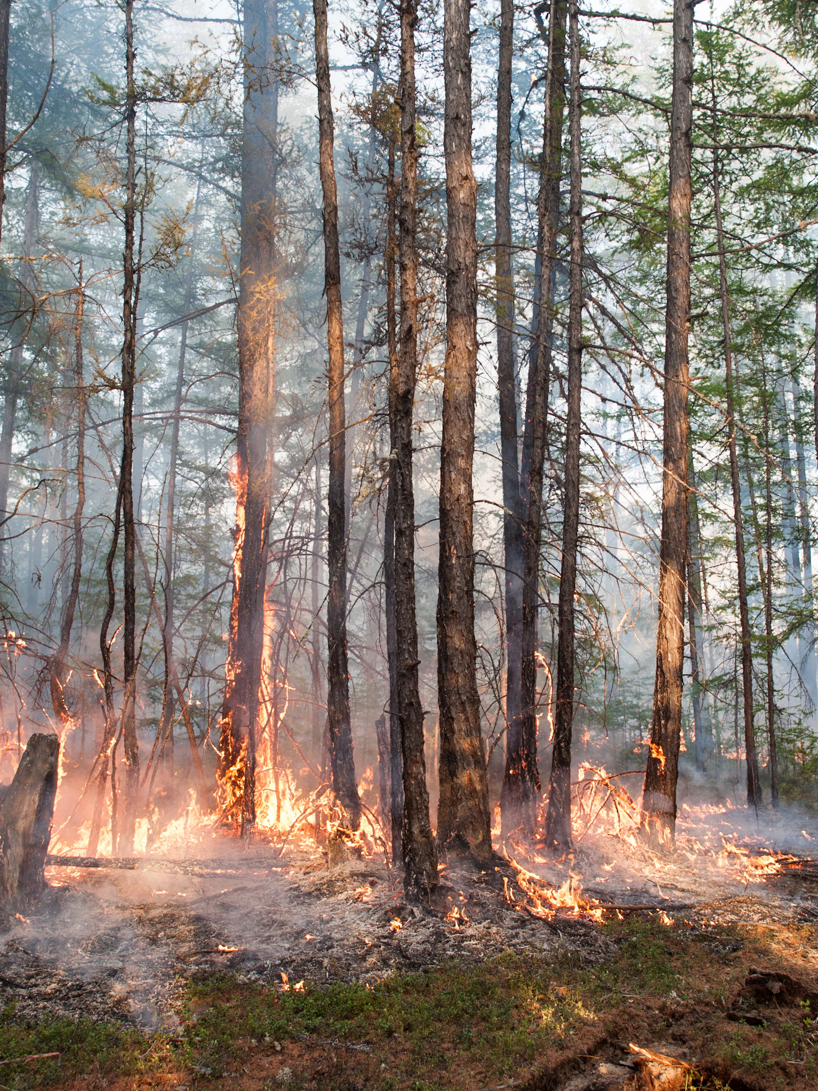 ‘Zombiebranden’ opsporen vanuit de ruimte spaart het klimaat en de portemonnee