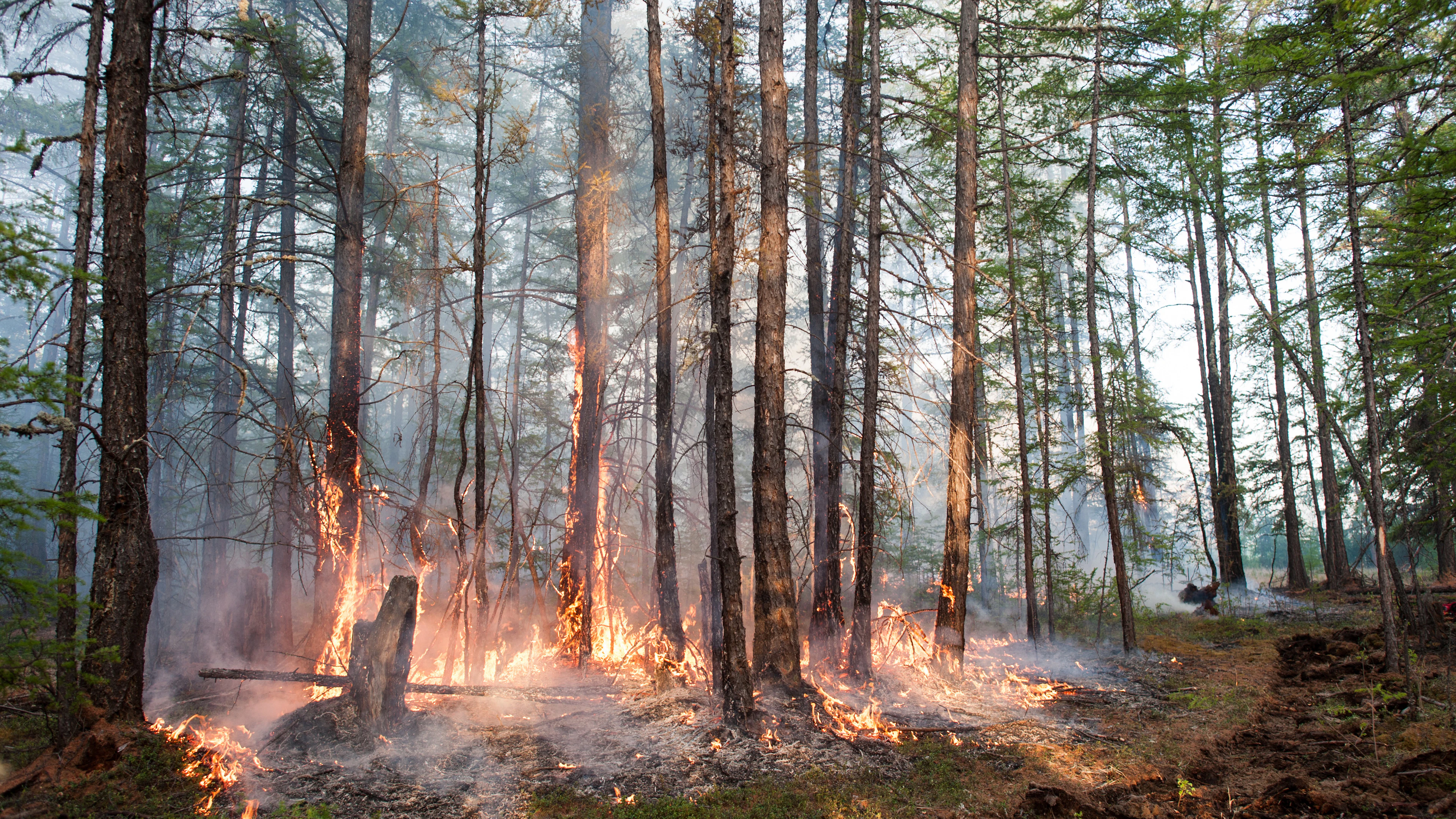 ‘Zombiebranden’ opsporen vanuit de ruimte spaart het klimaat en de portemonnee