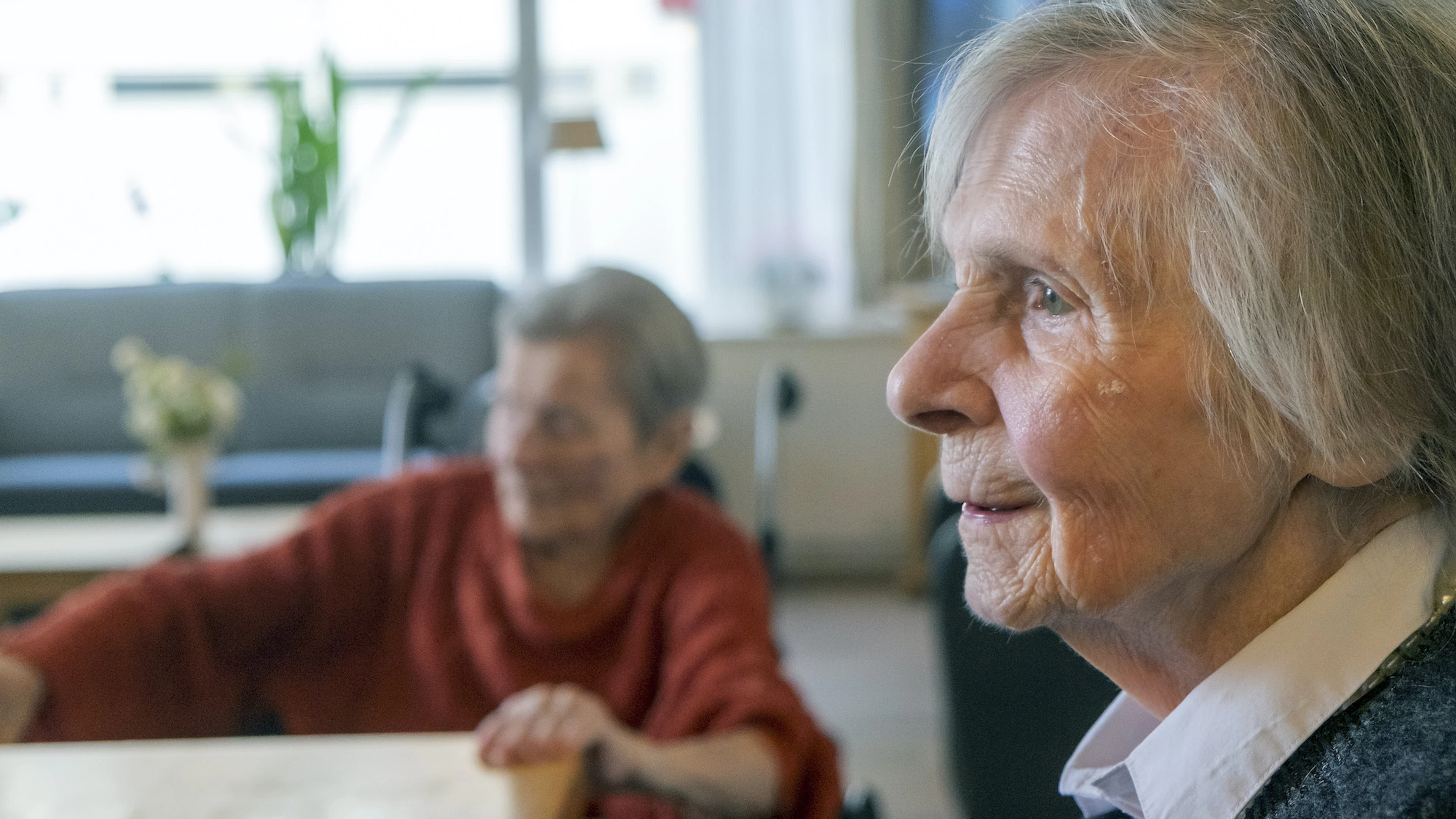 Immuunsysteem gelinkt aan aftakeling brein