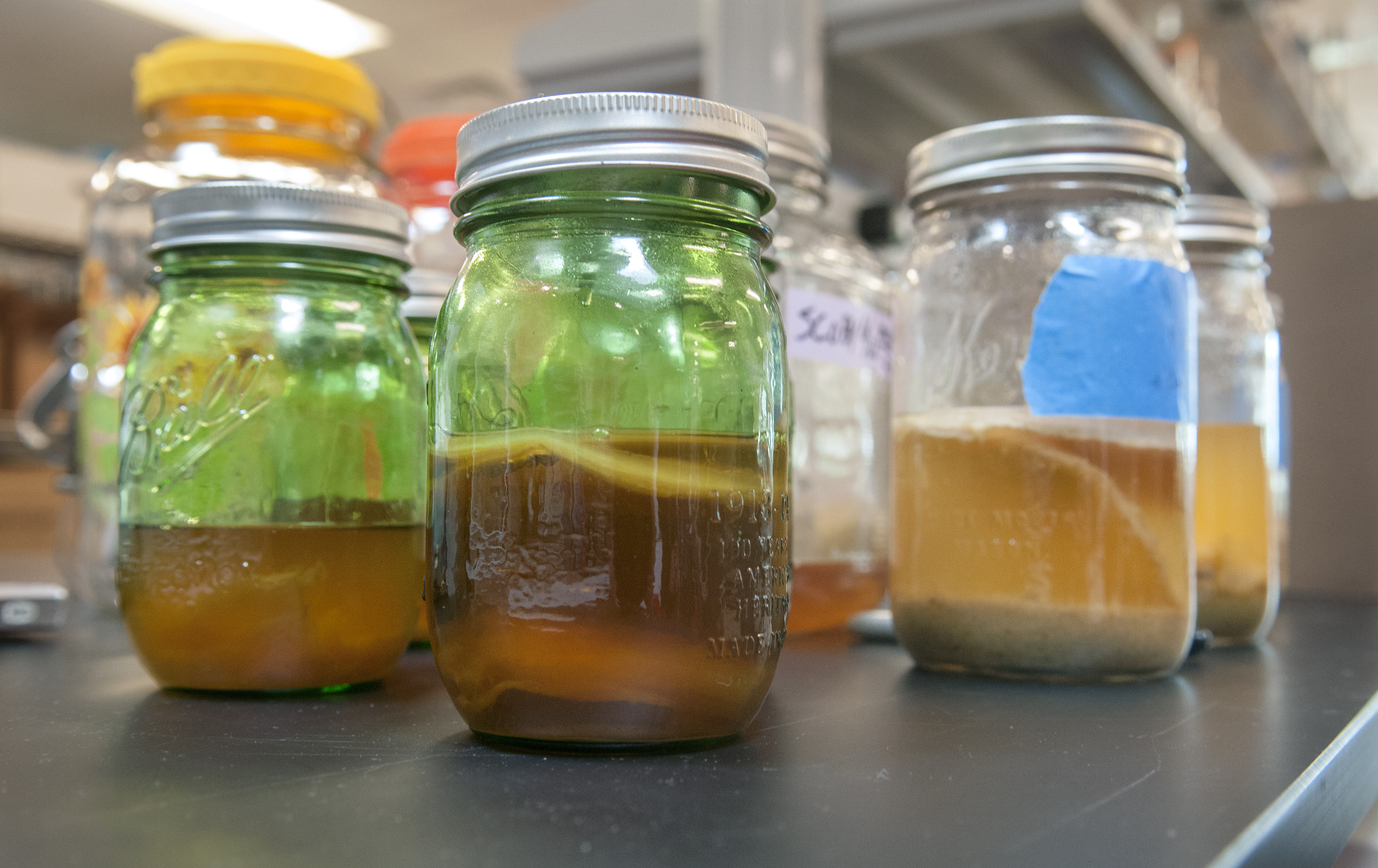 Bakken en brouwen met bacteriën