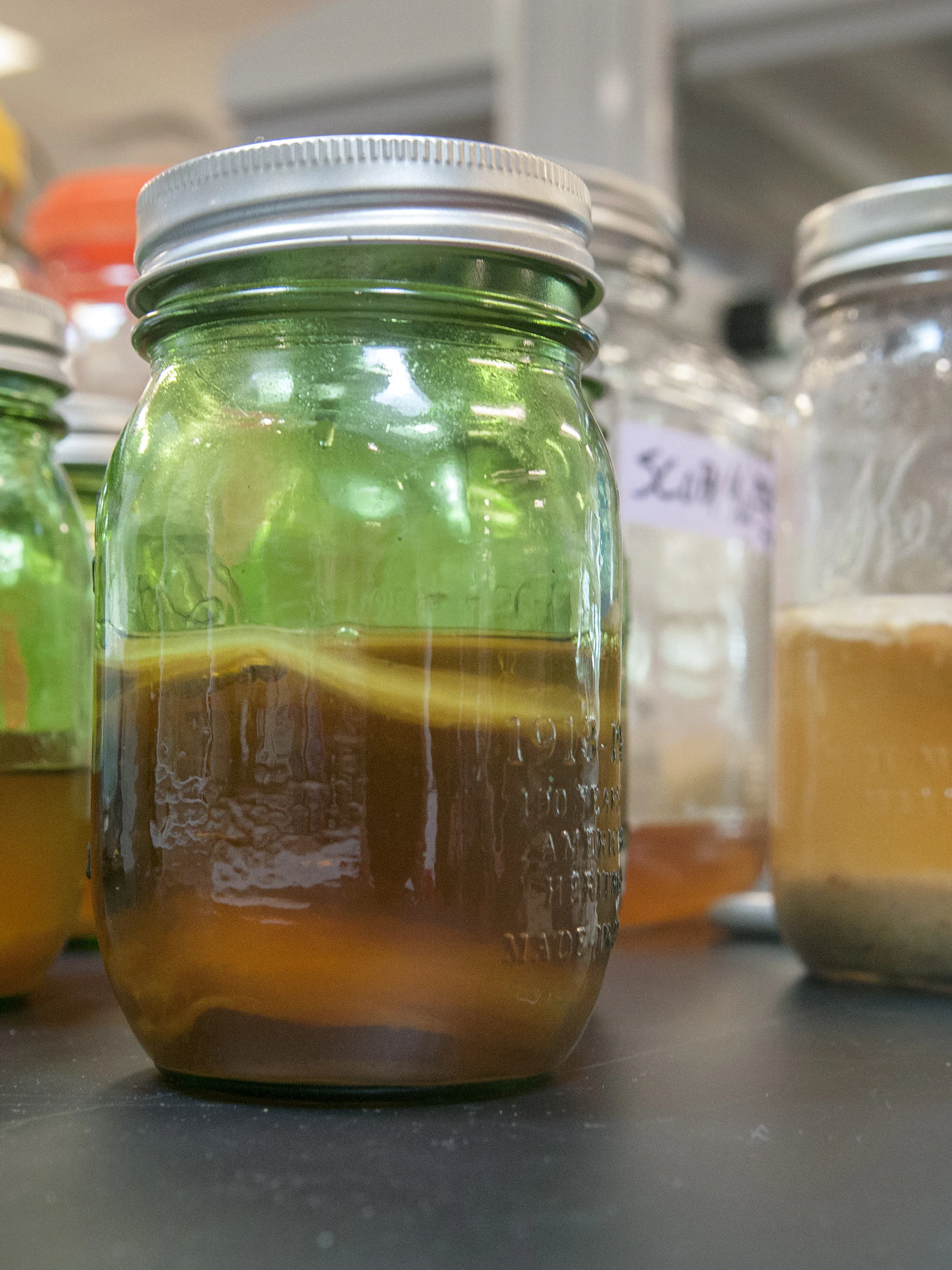 Bakken en brouwen met bacteriën