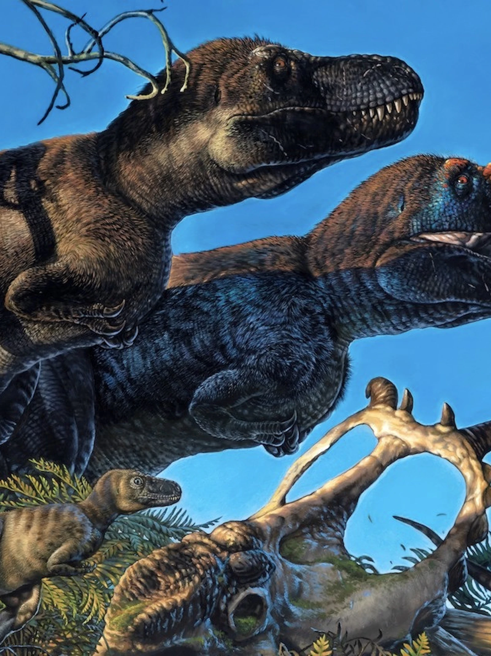 Dino's plantten zich voort in Noordpoolgebied