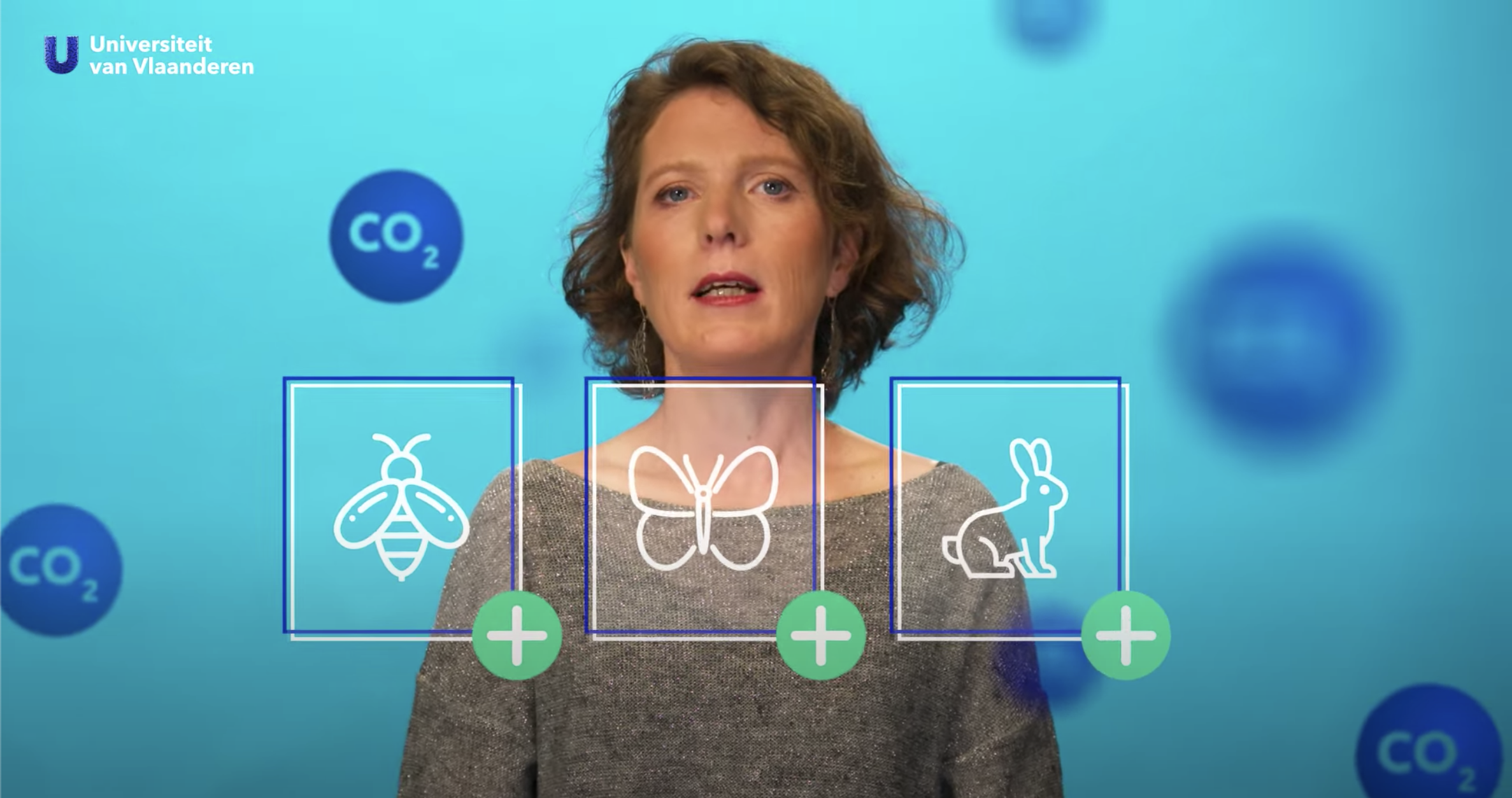 Eet je voor het klimaat beter lokale groenten en fruit?