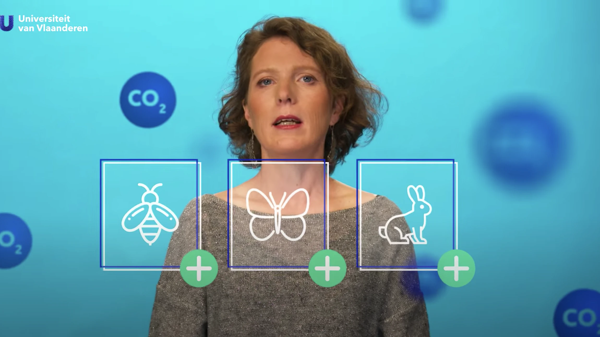 Eet je voor het klimaat beter lokale groenten en fruit?