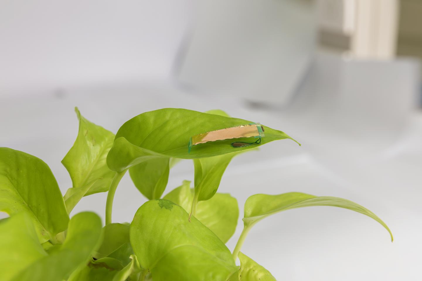 Insectrobot navigeert behendig door doolhof