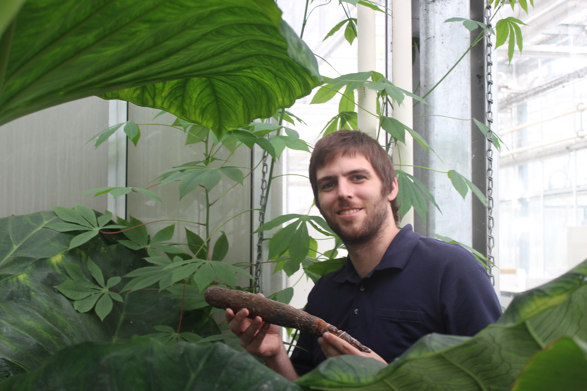 Tijdreizende planten