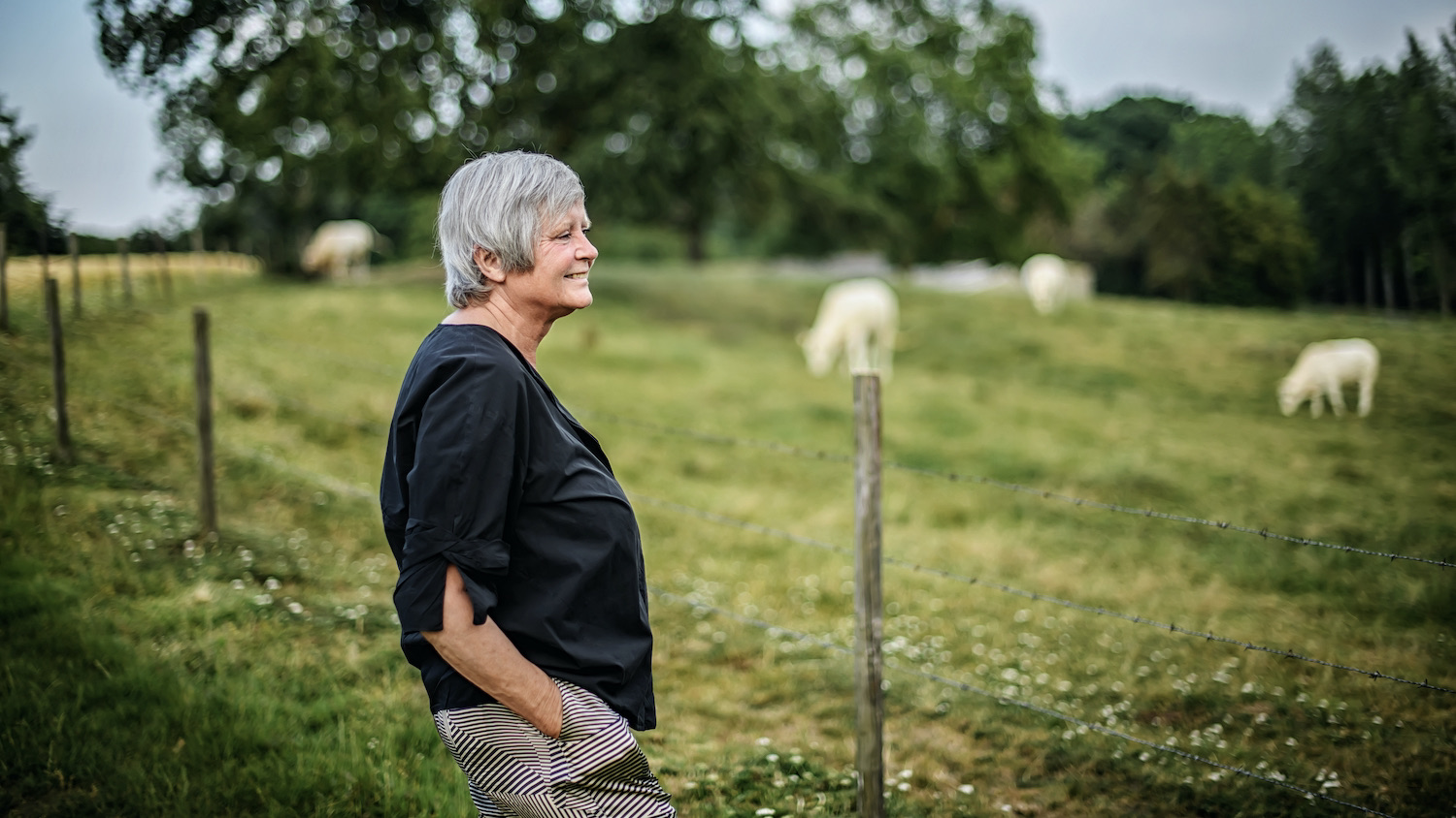 'Ik denk niet dat we alzheimer ooit kunnen genezen'