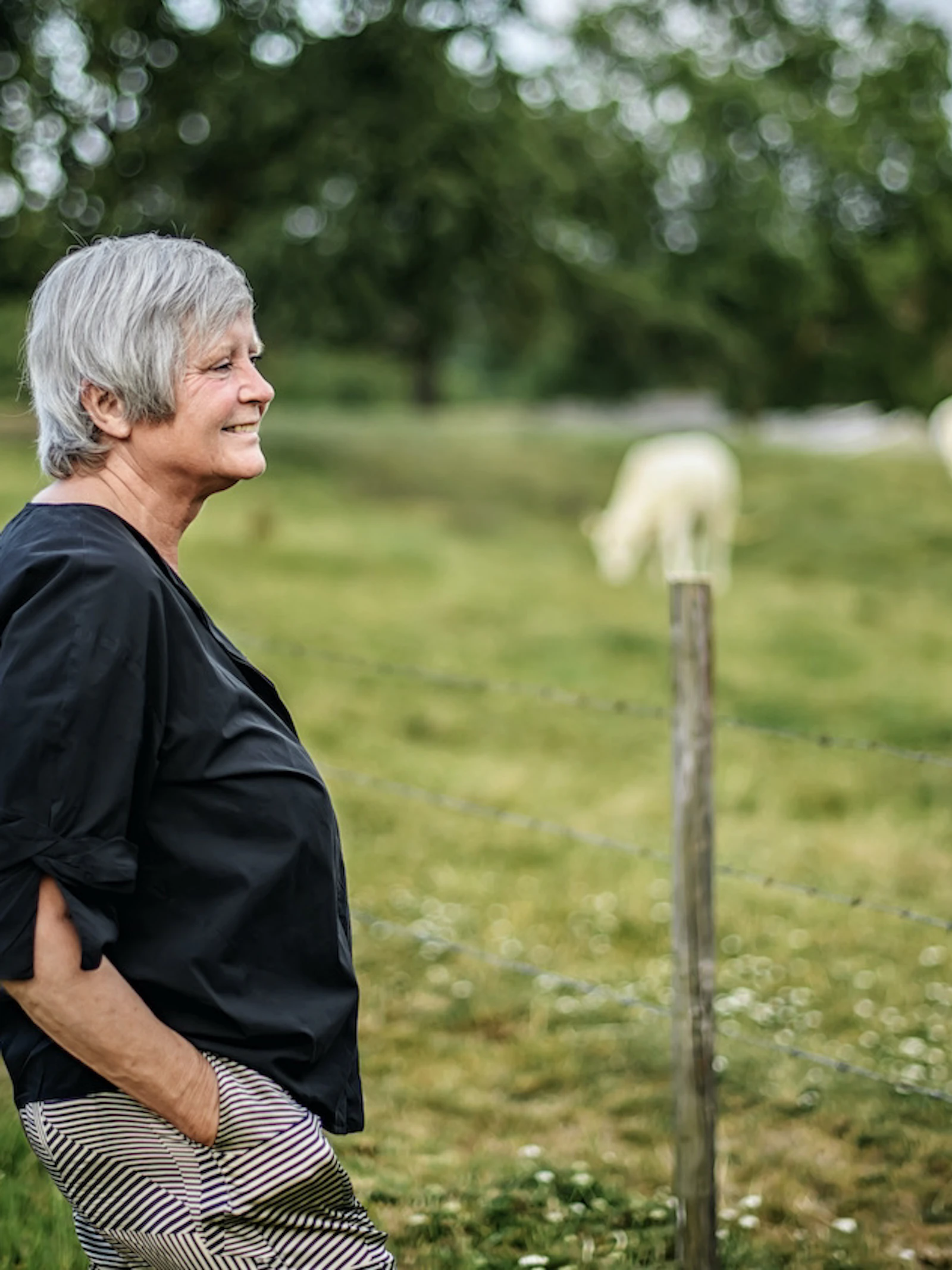 'Ik denk niet dat we alzheimer ooit kunnen genezen'