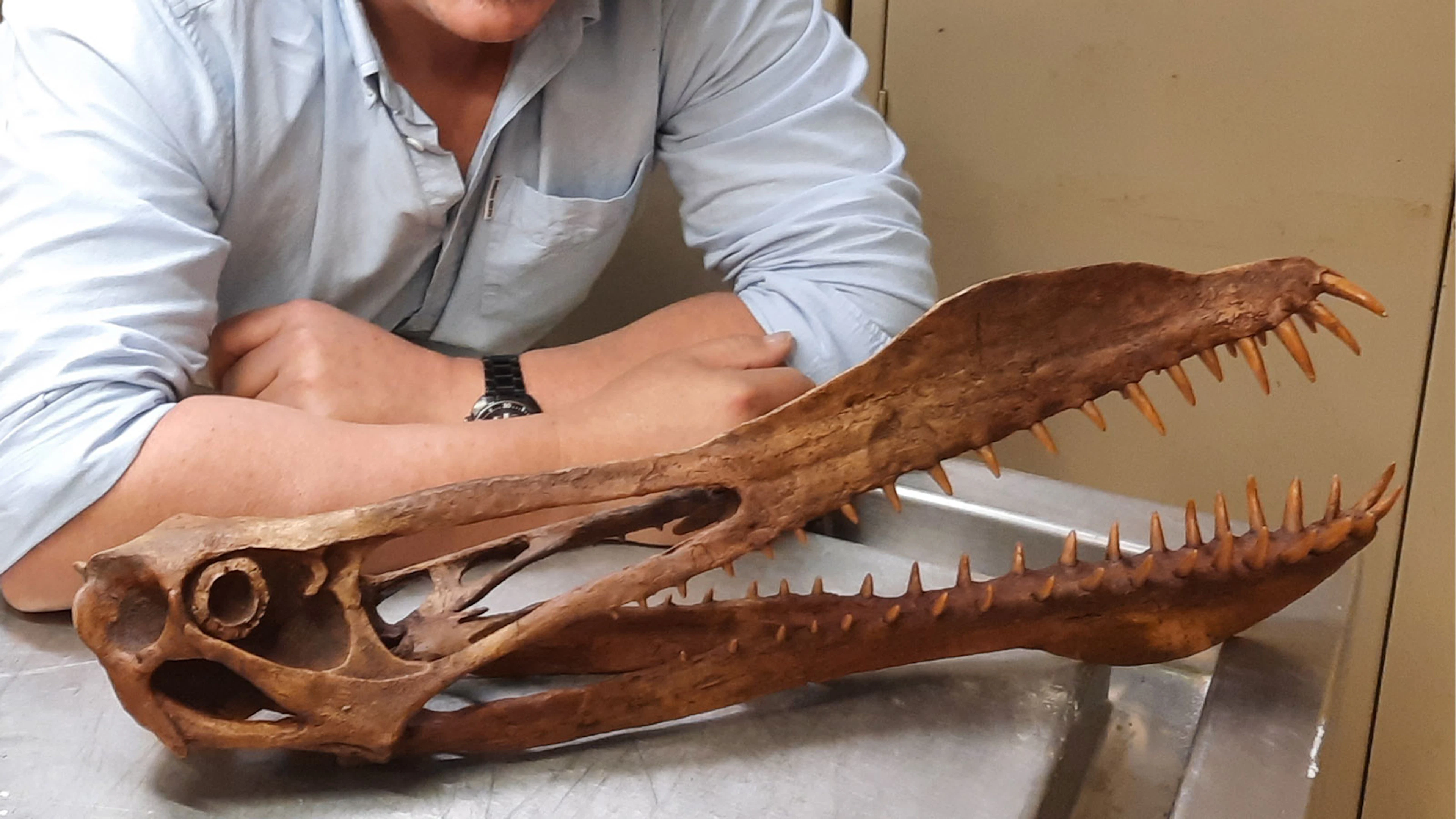 "Angstaanjagende draak" heerste over Australië