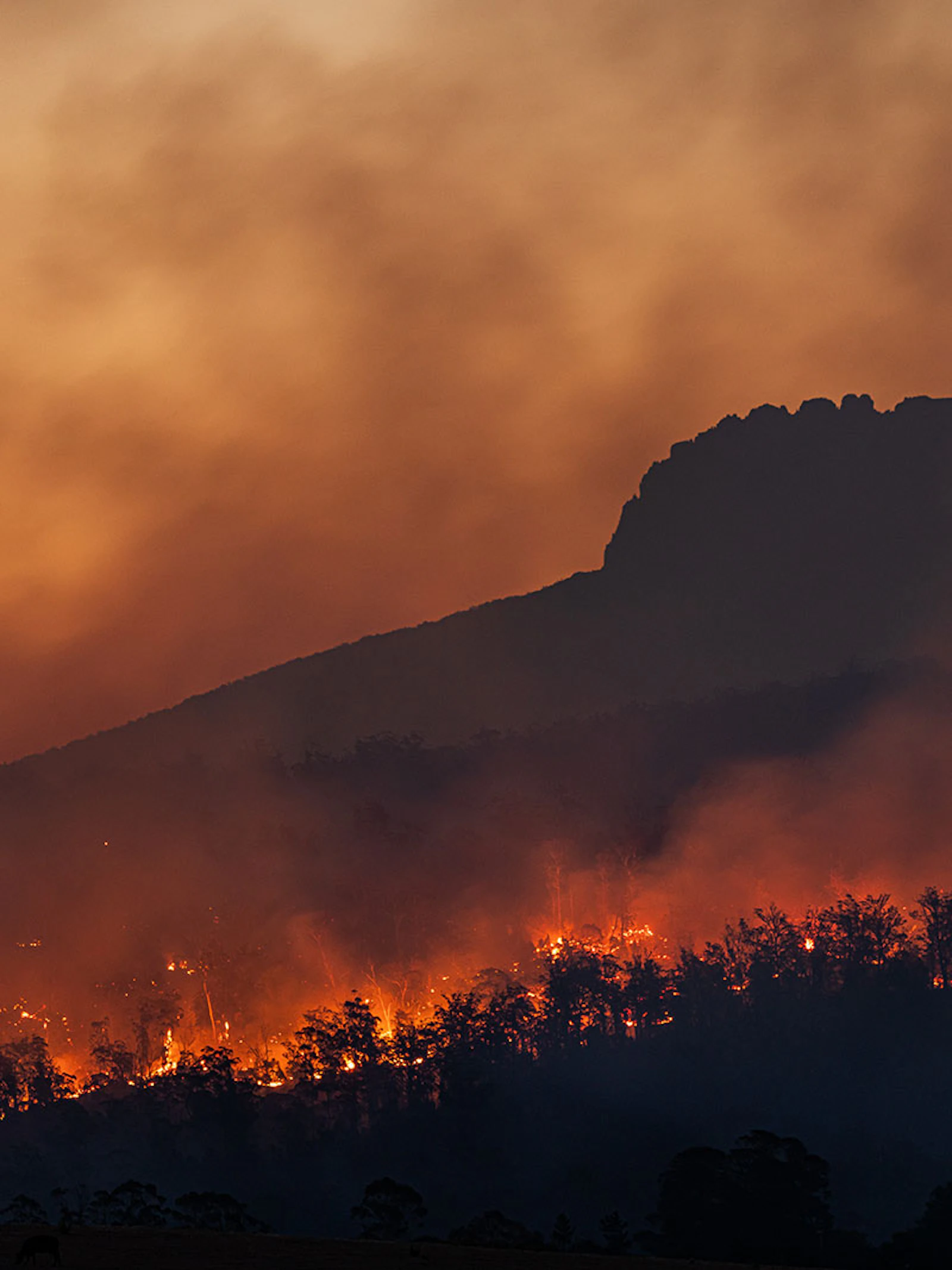 Wat kunnen we leren over het nieuwste klimaatrapport van het IPCC?