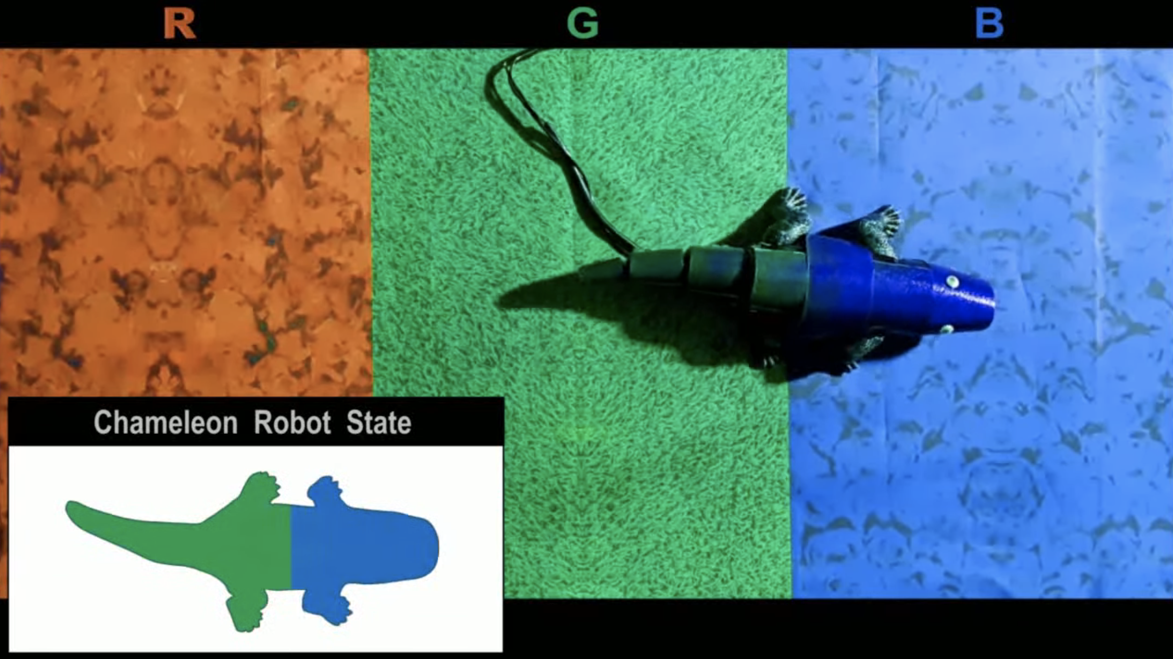 Kameleonrobot kan van kleur veranderen
