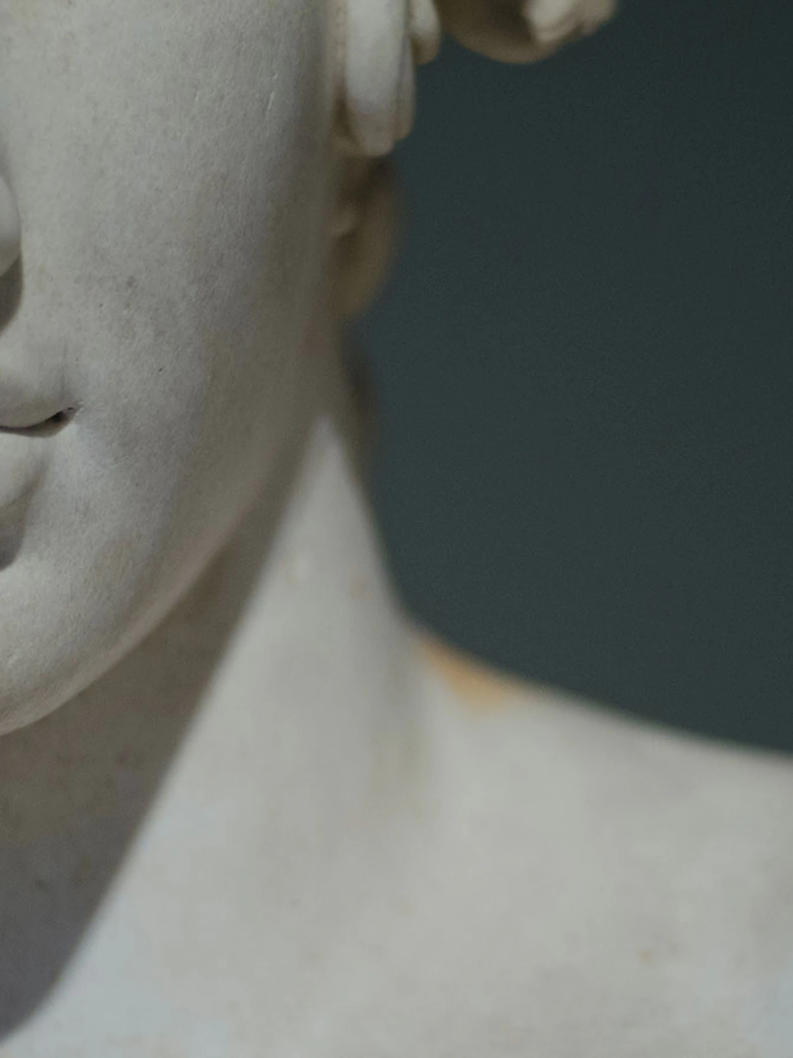Pandemieën en klassieke geschiedenis - wat de menswetenschappen ons zullen vertellen over COVID