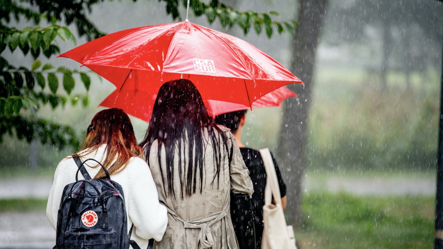 Waarom kwakkelde het weer zo deze zomer?