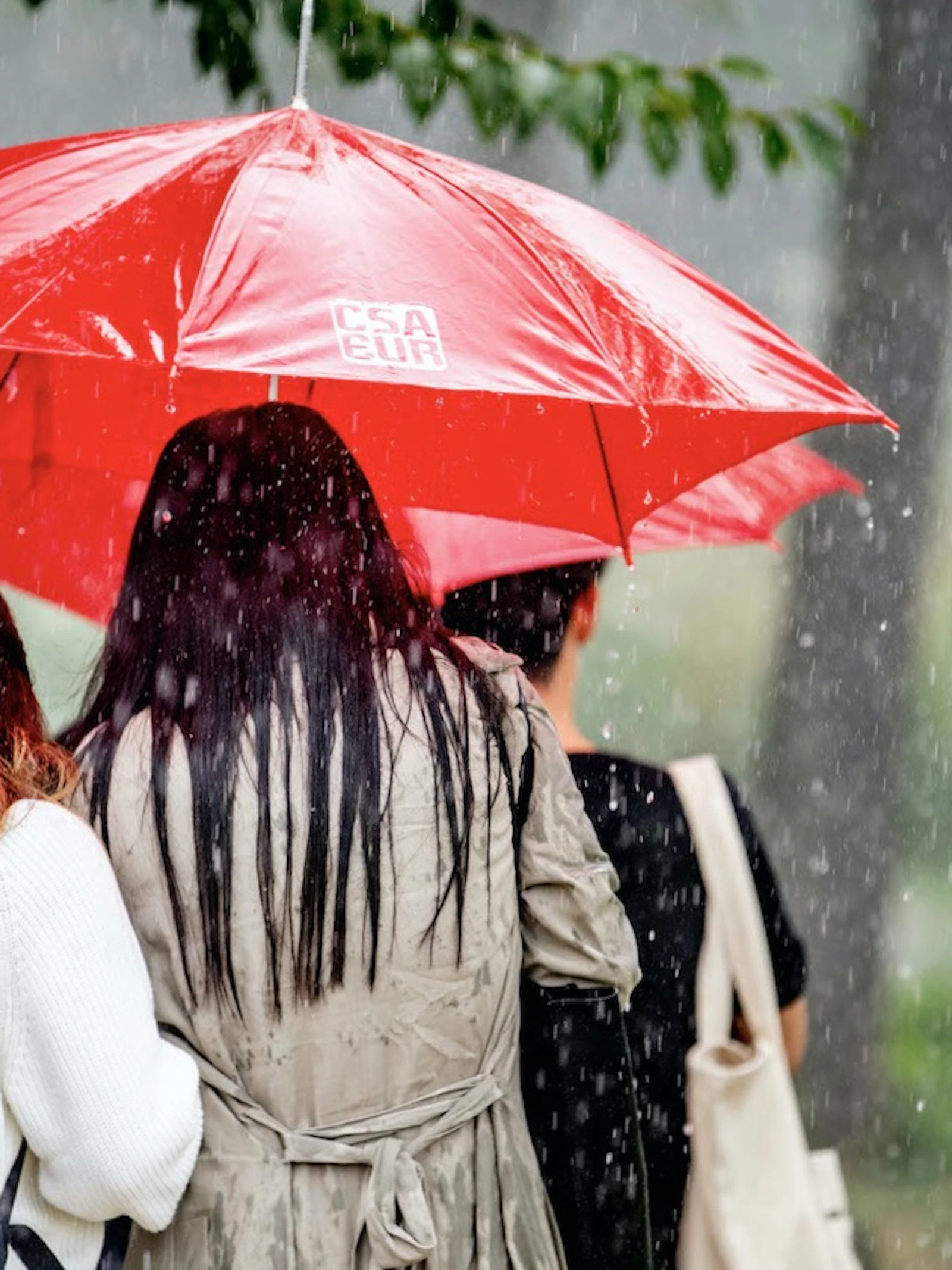 Waarom kwakkelde het weer zo deze zomer?