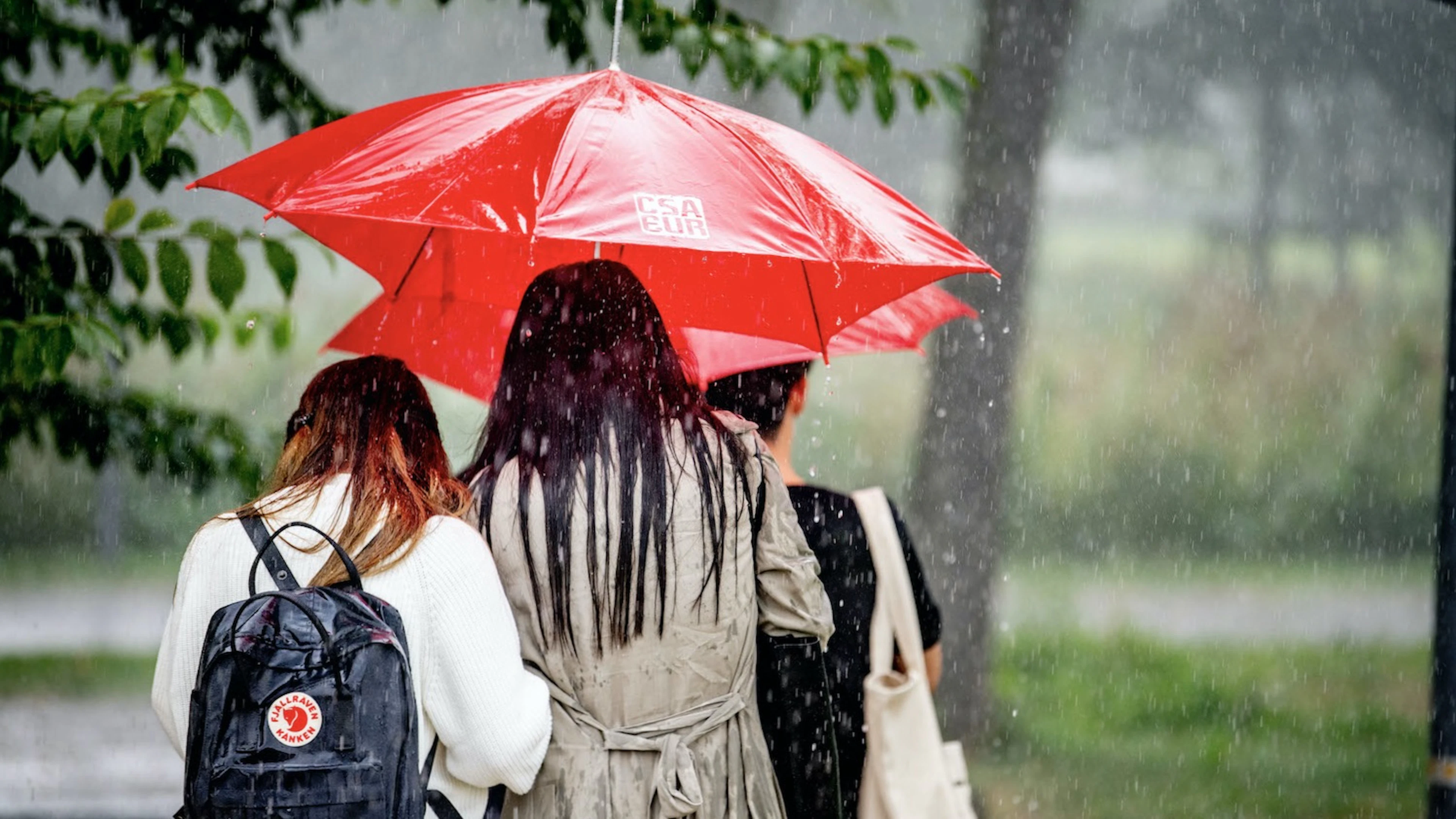 Waarom kwakkelde het weer zo deze zomer?