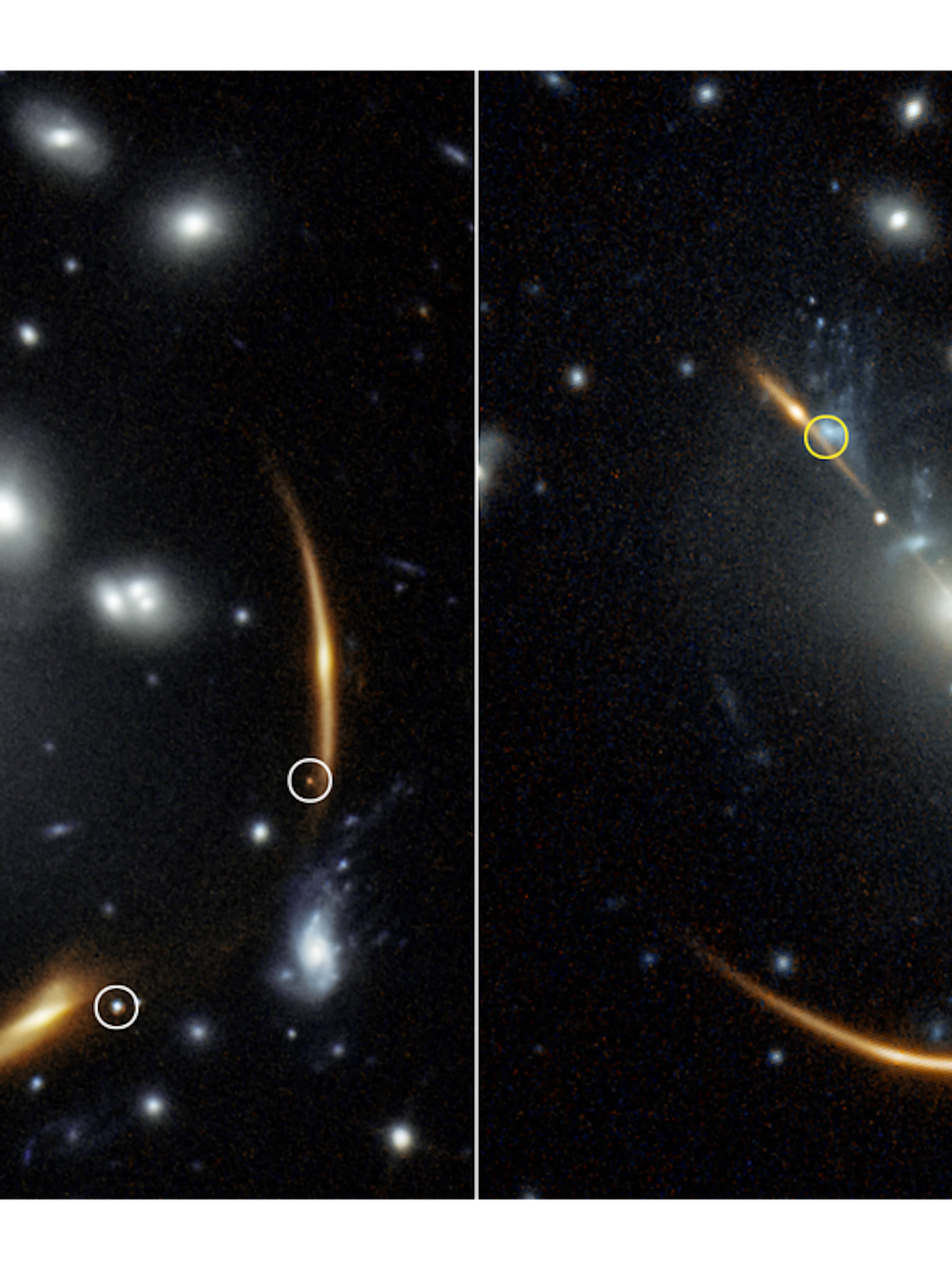 Astronomen voorspellen supernova-explosie in 2037