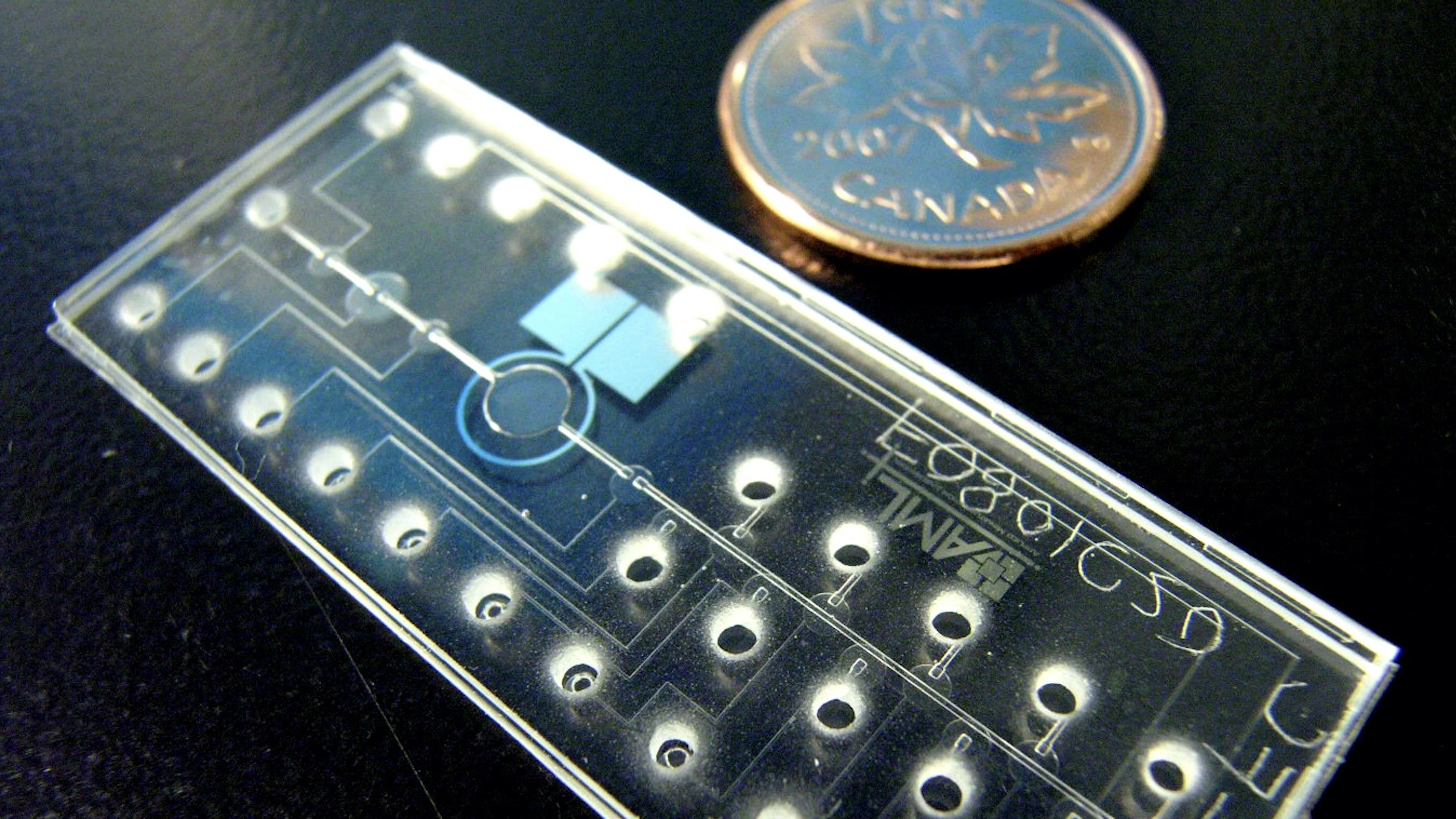 Design-enzybiotica: de geknipte bacterie killers