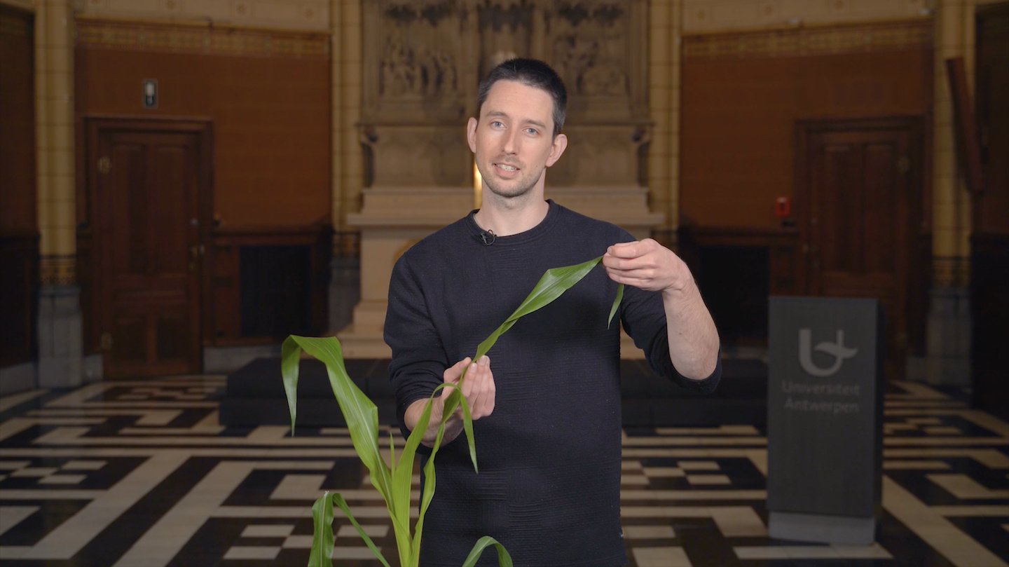 Hoe planten écht groeien