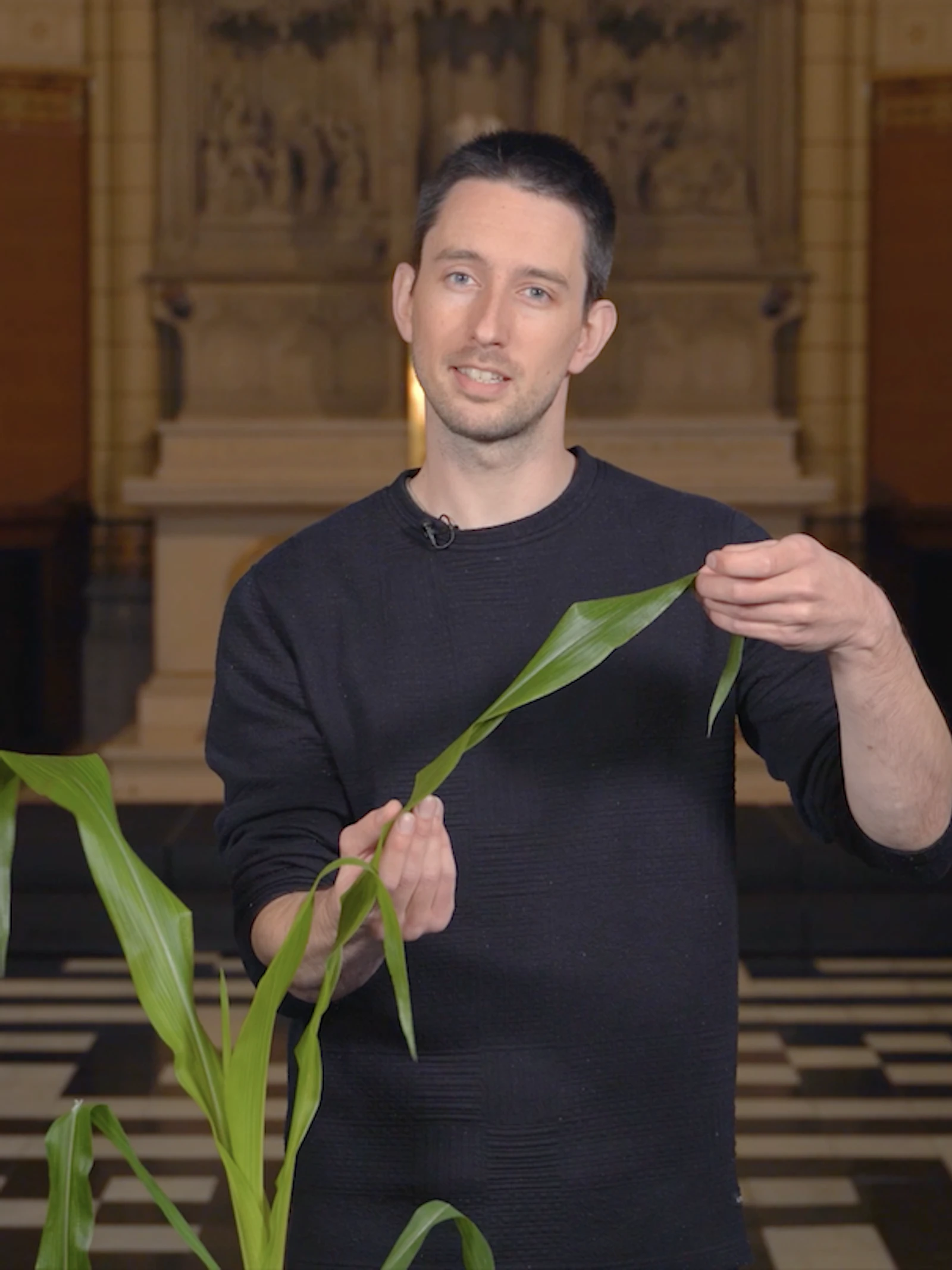Hoe planten écht groeien