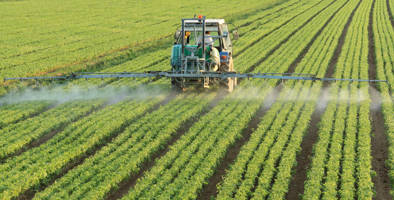 De opkomst van Biotalys, of hoe technologie op basis van lama-antistoffen landbouw duurzaam maakt
