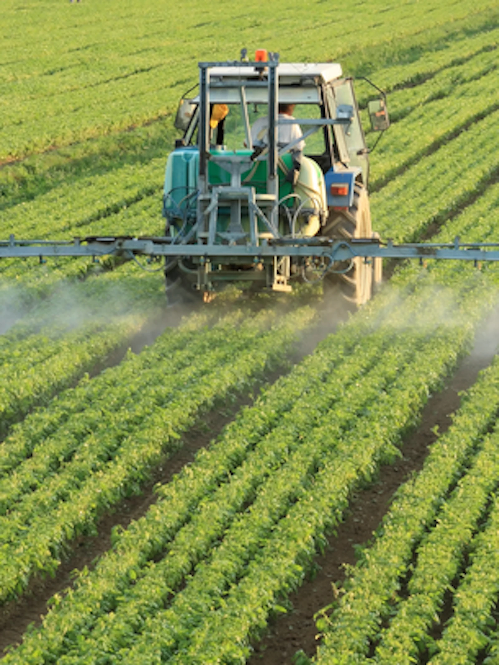 De opkomst van Biotalys, of hoe technologie op basis van lama-antistoffen landbouw duurzaam maakt