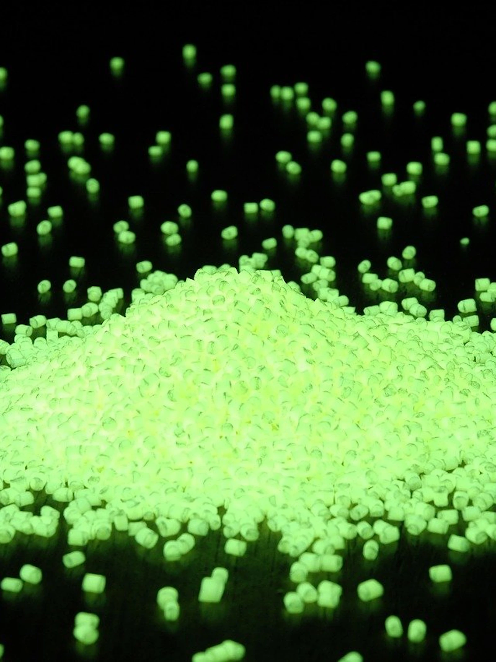 Glow-in-the-dark én beter voor het milieu