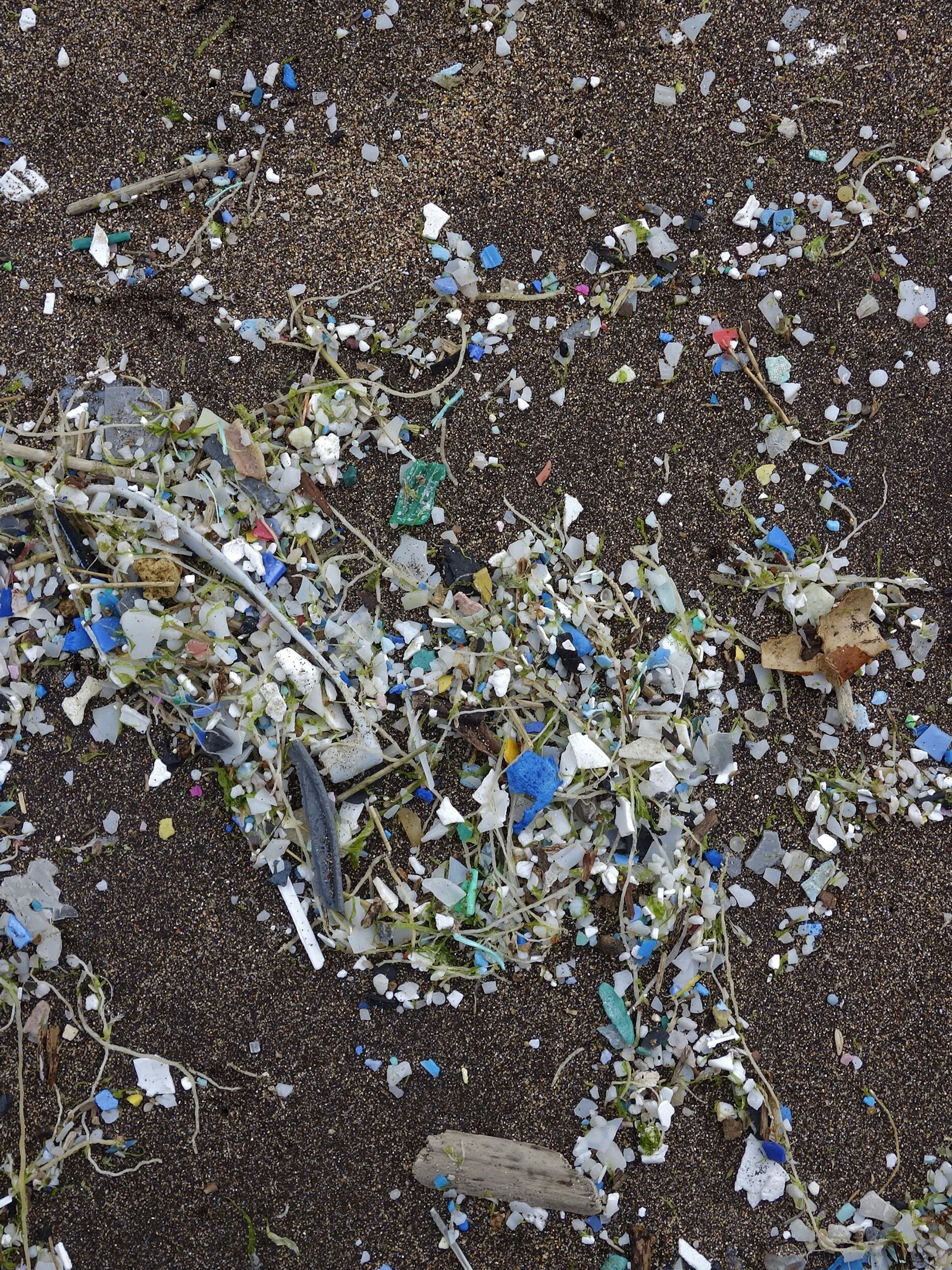 Microplastics werken antibioticaresistentie in de hand