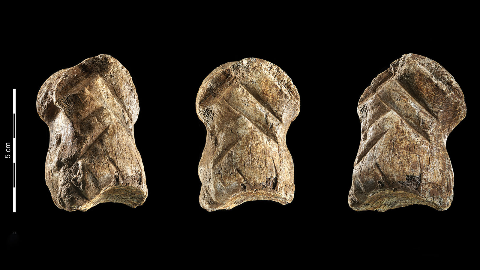 ‘De moderne mens leerde van de neanderthaler, niet omgekeerd’
