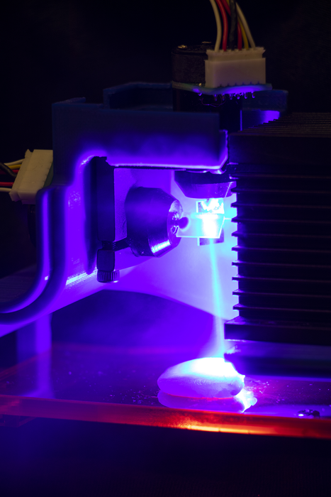 Kip uit de printer
