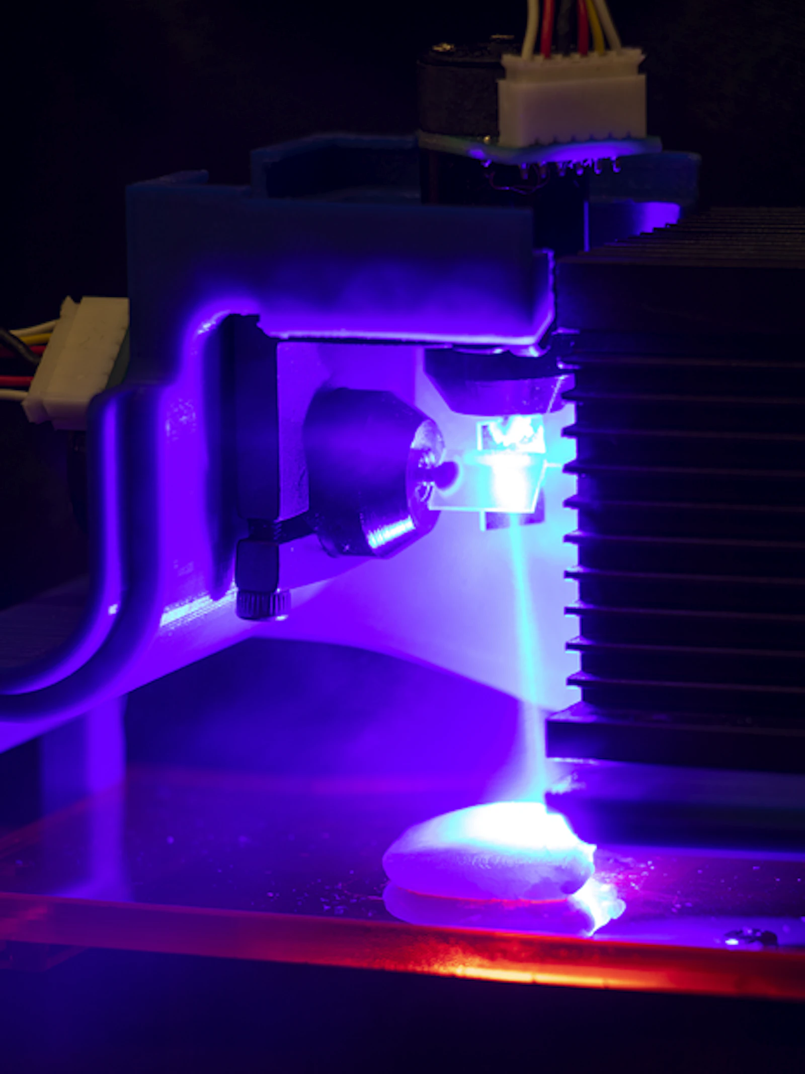 Kip uit de printer