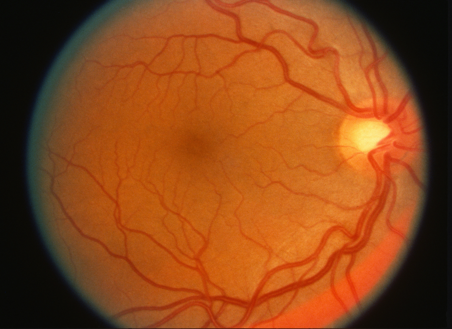 Het oog is de spiegel van het hart