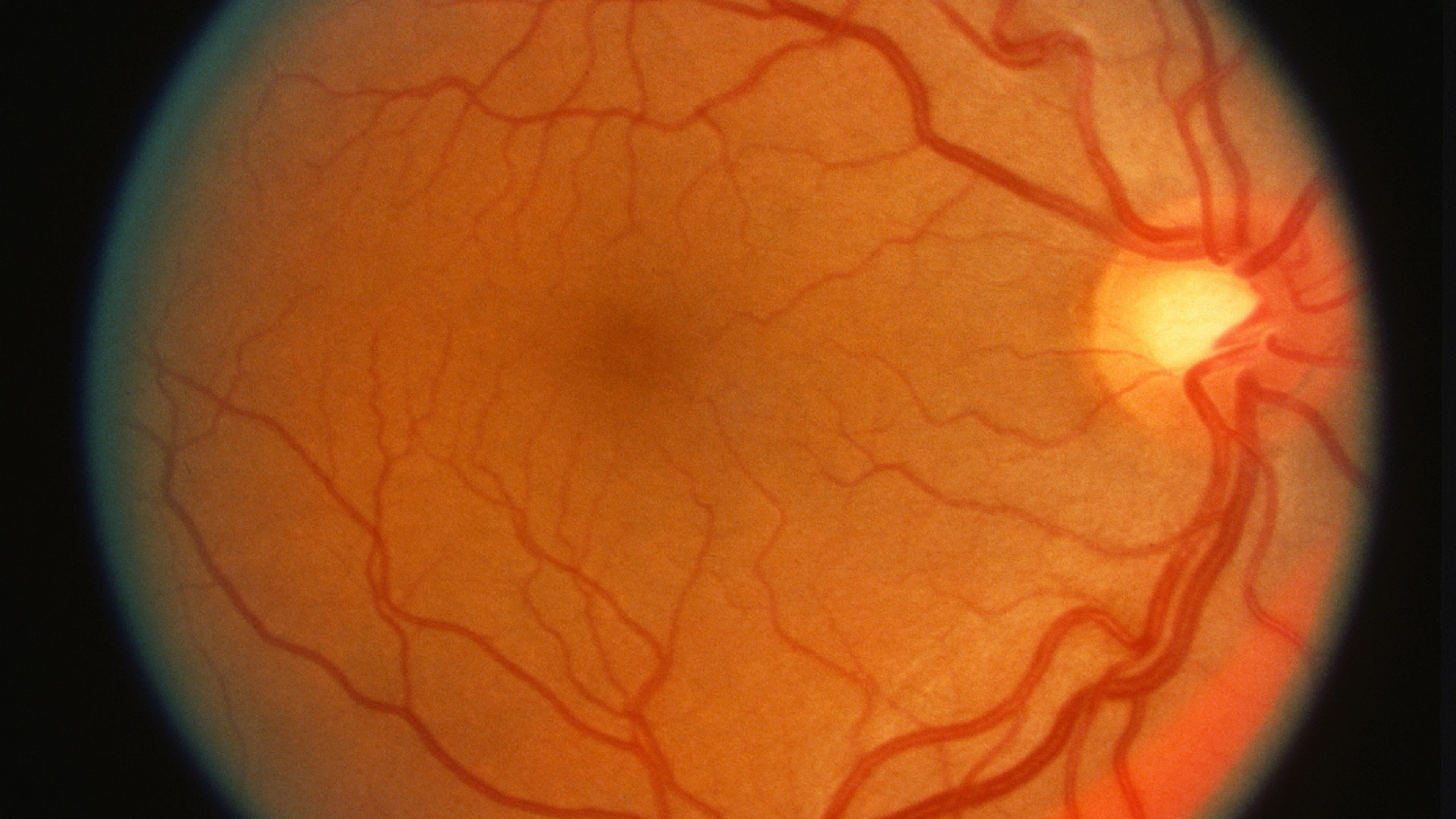 Het oog is de spiegel van het hart