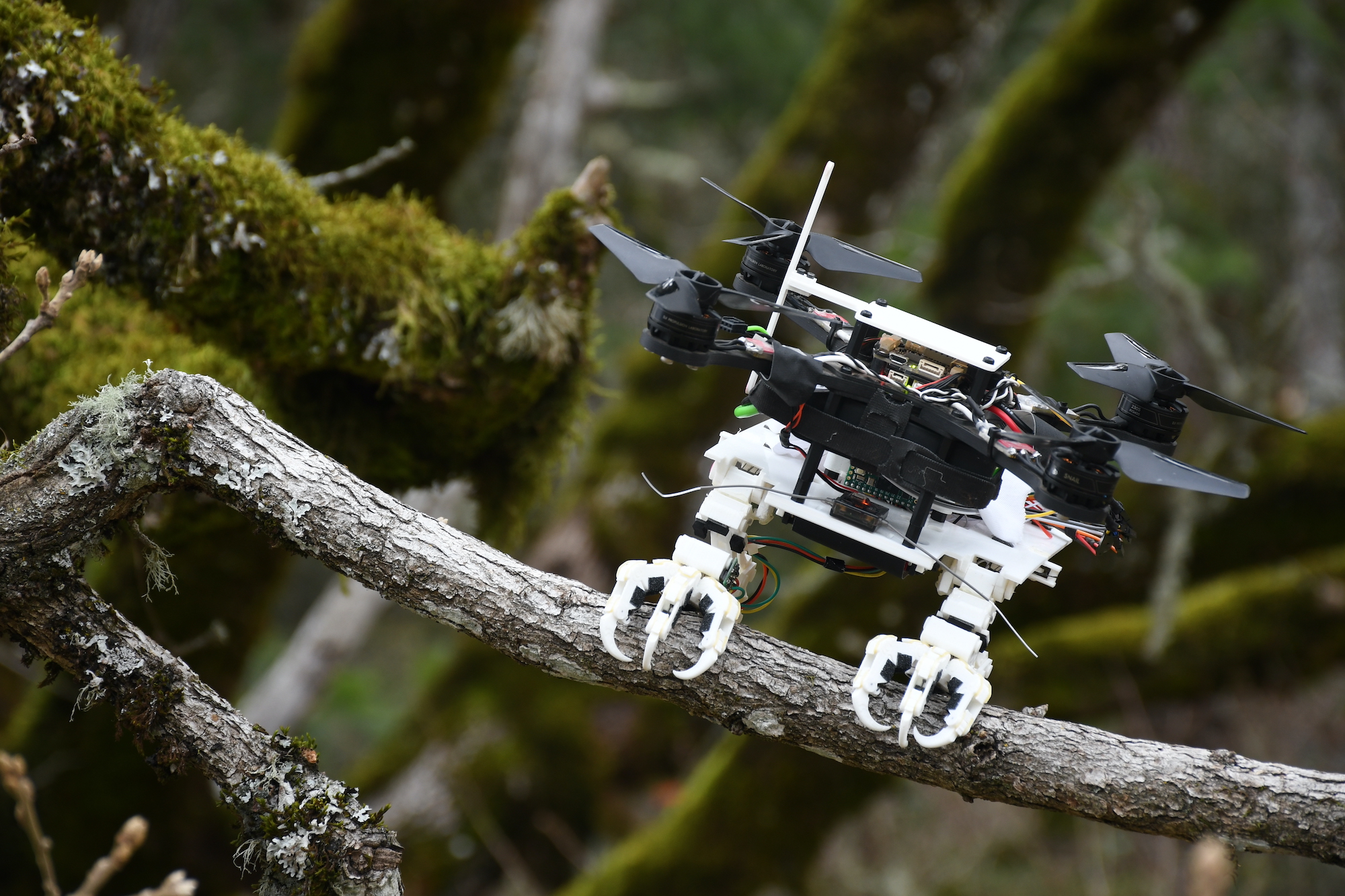 Drone landt als een roofvogel