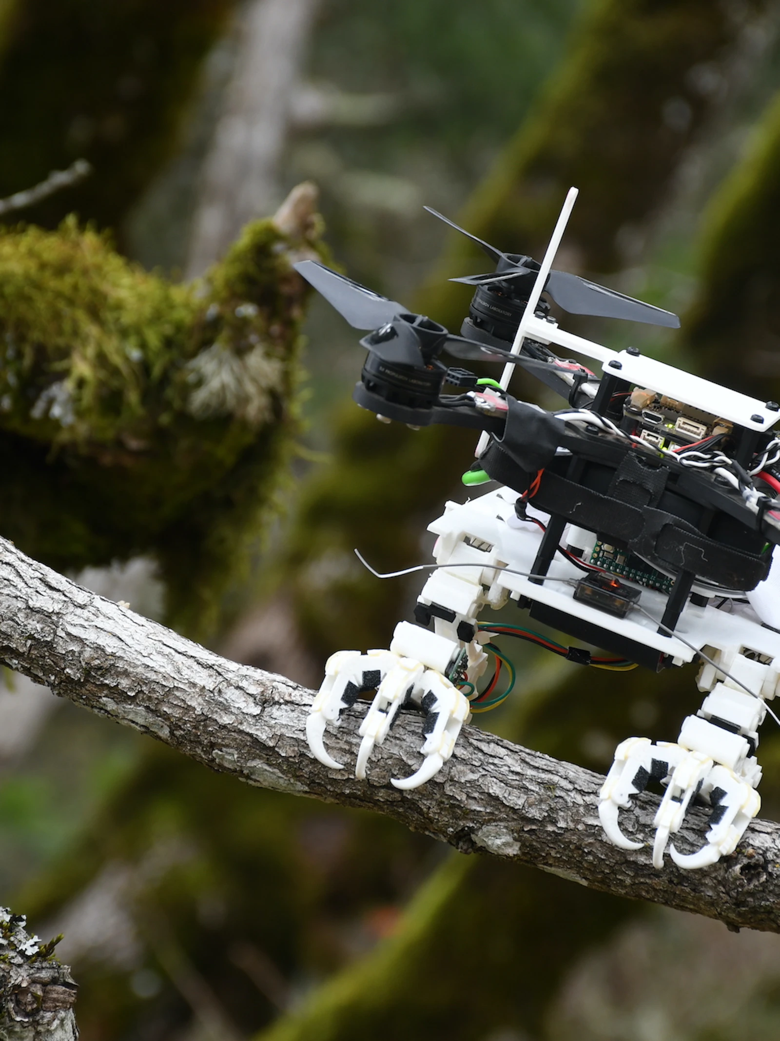 Drone landt als een roofvogel