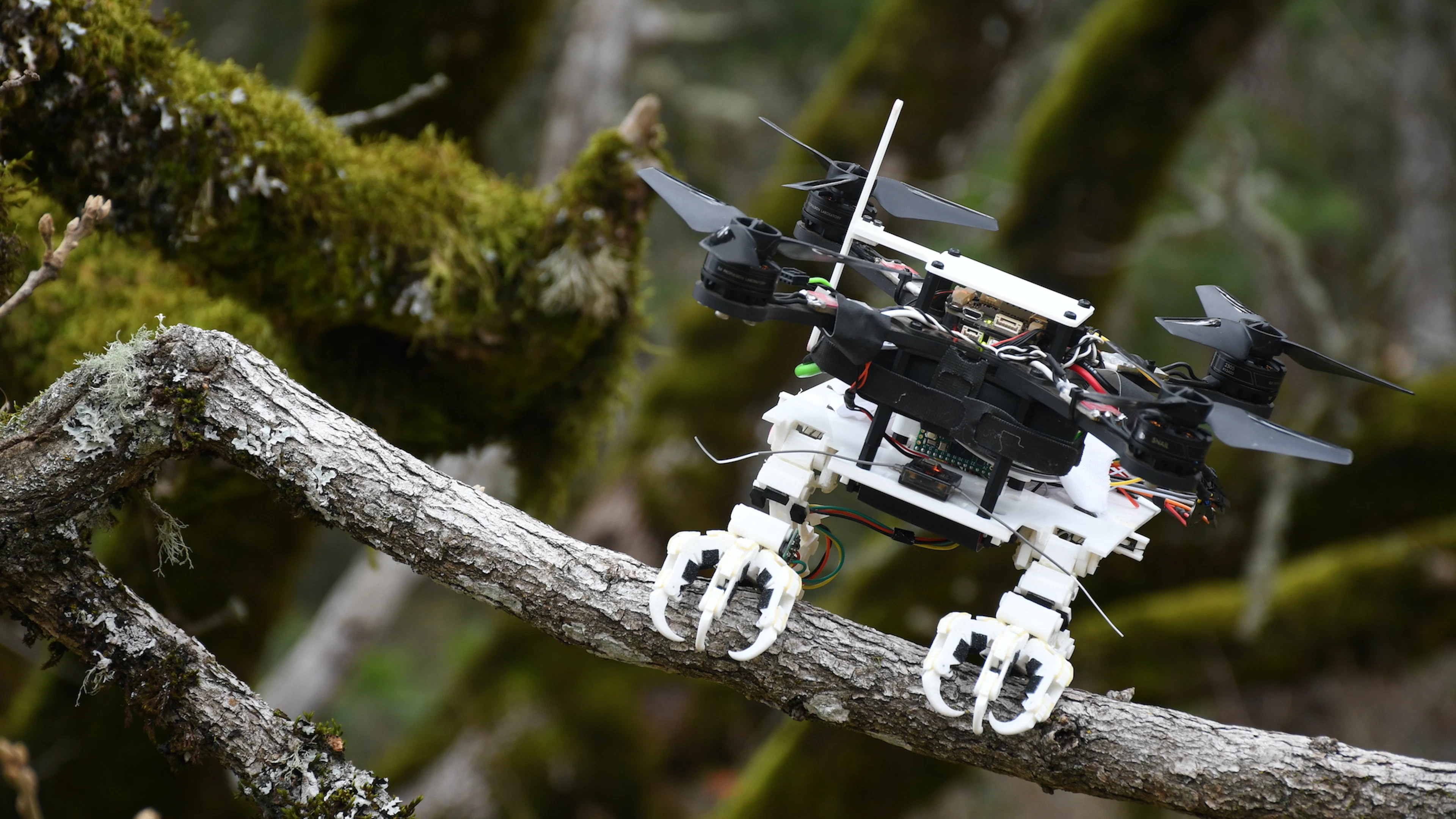 Drone landt als een roofvogel