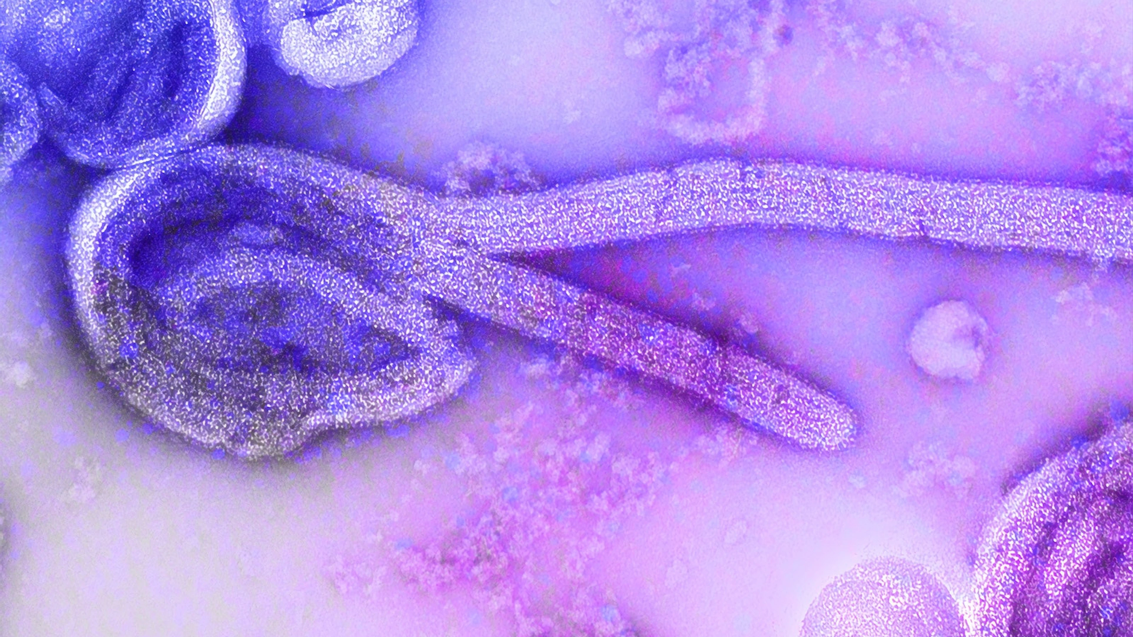 Wie ebola overleeft, kan het virus nog steeds dragen en verspreiden
