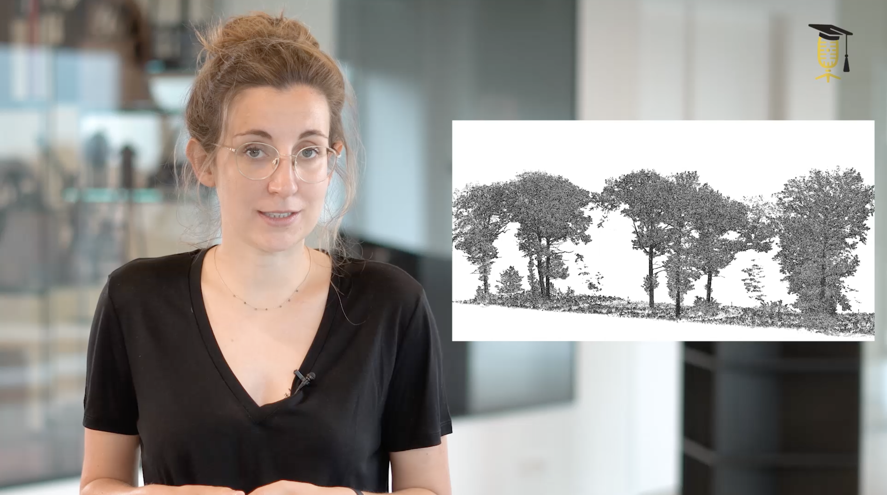 Hoe houden we onze bossen koel?
