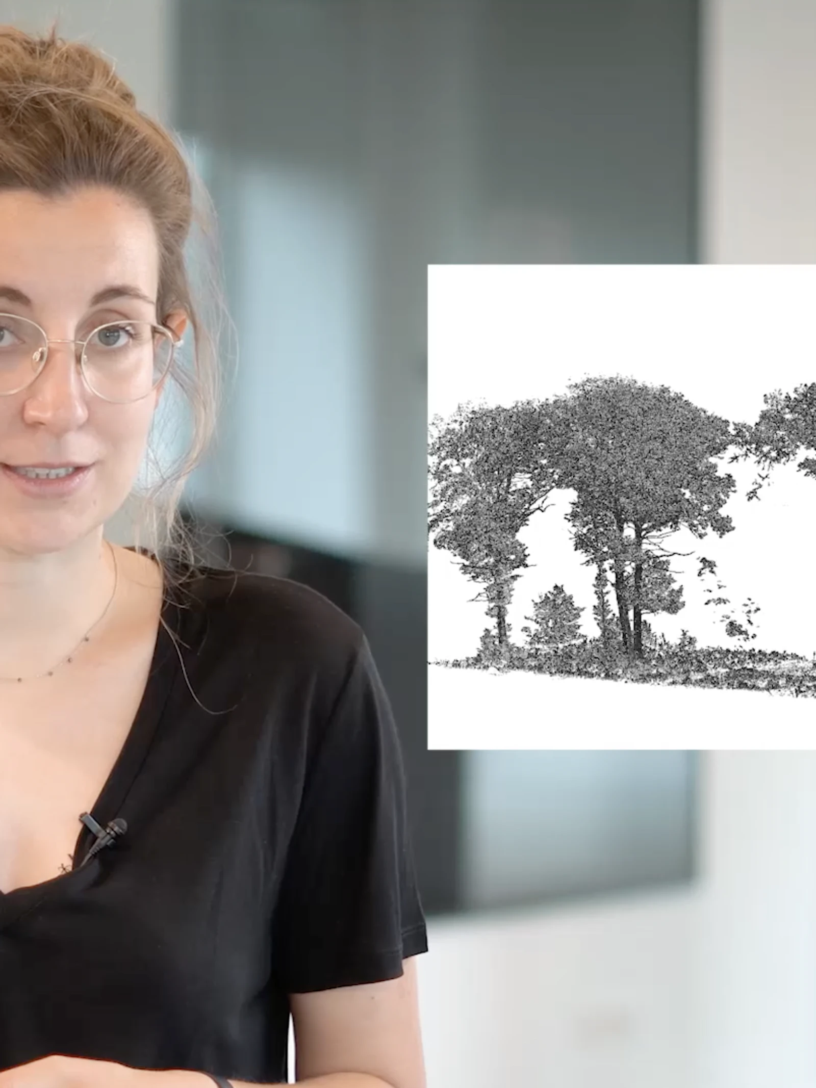 Hoe houden we onze bossen koel?