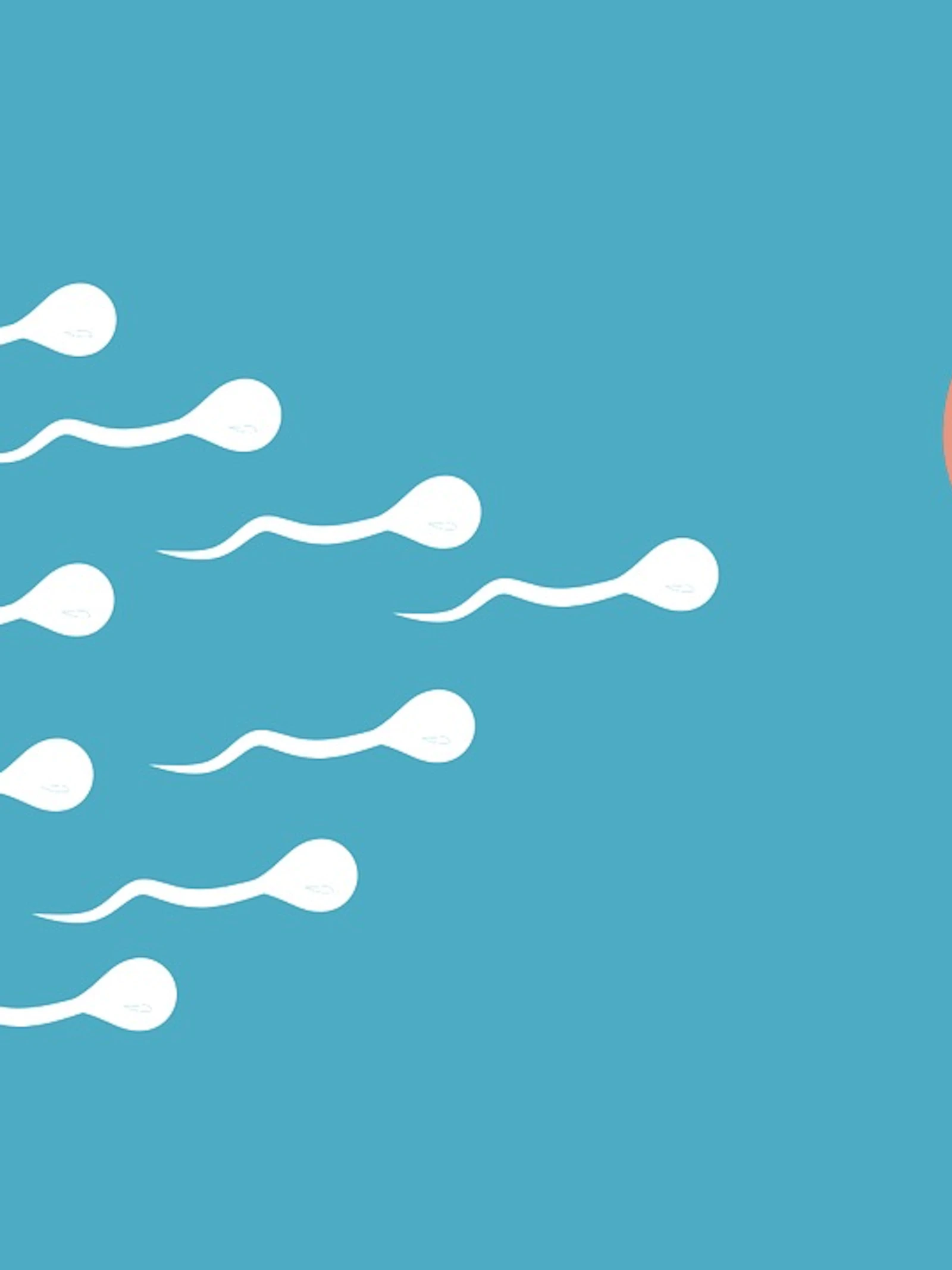 Sperma vangen in gelvorm: een nieuw anticonceptiemiddel?