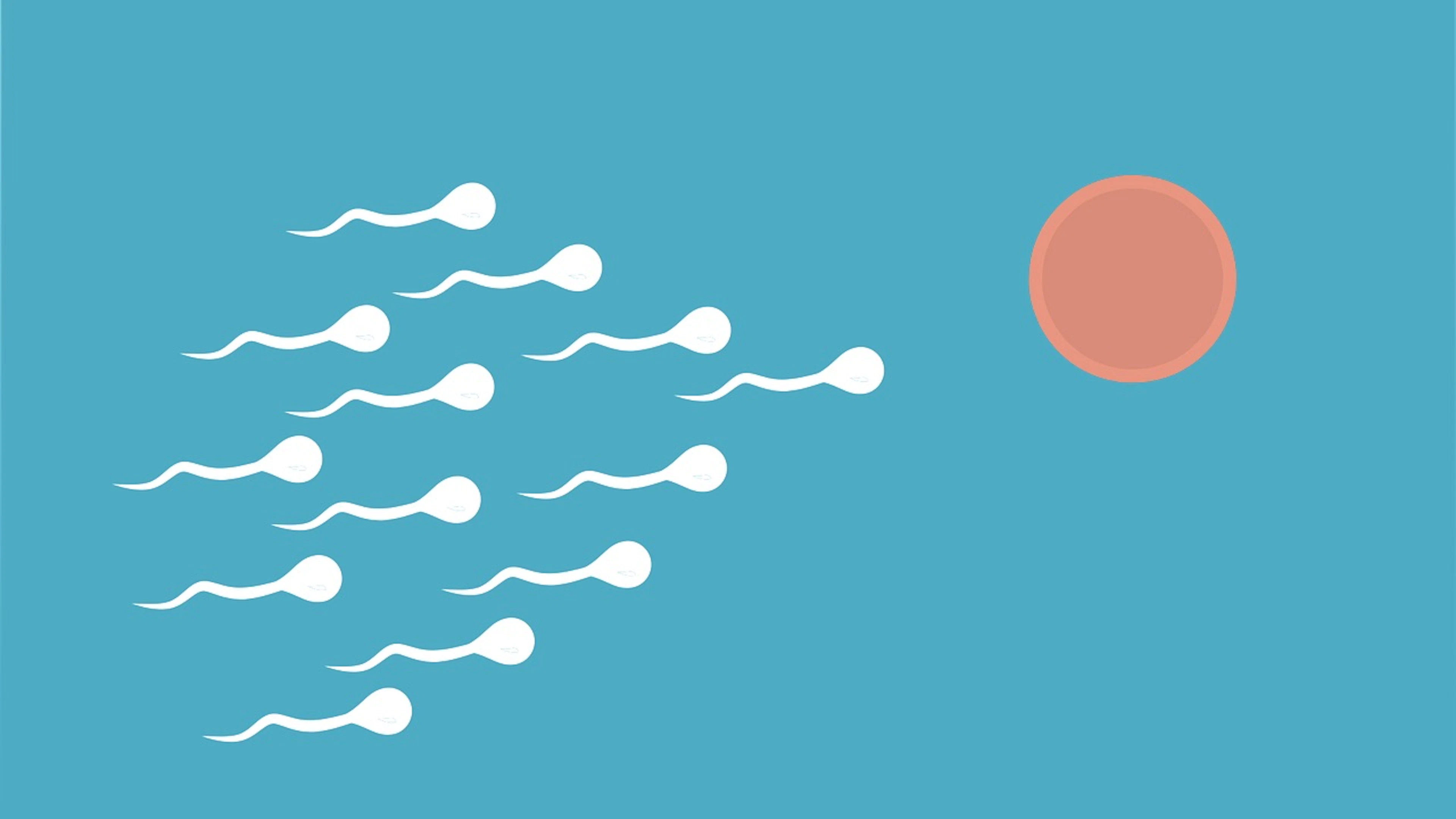 Sperma vangen in gelvorm: een nieuw anticonceptiemiddel?