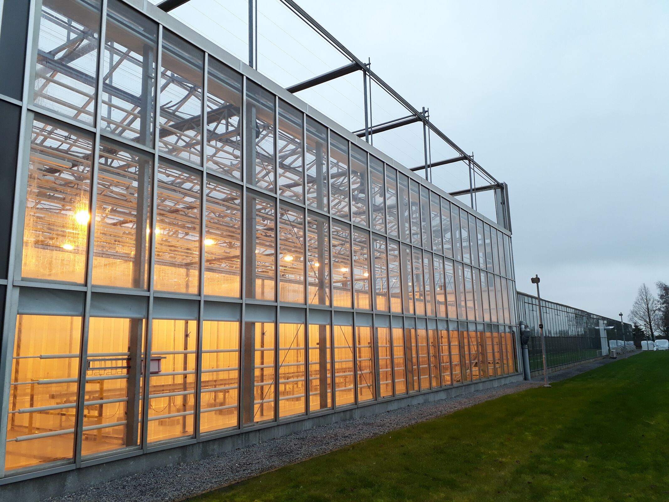 De VIB Agro-Incubator: waar innovatieve projecten uitgroeien in klimaatbestendige oplossingen voor de landbouw